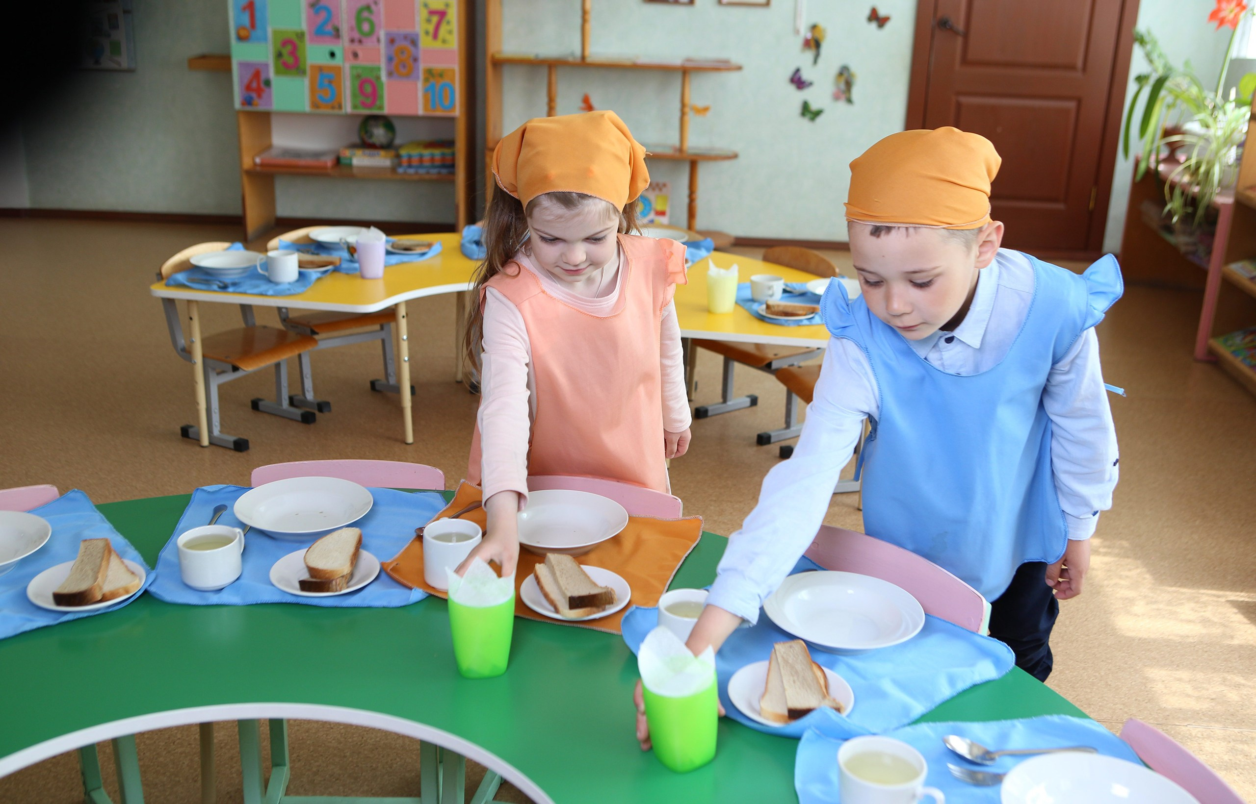 Детский садик. Выпускные альбомы Берёза и Брестская область