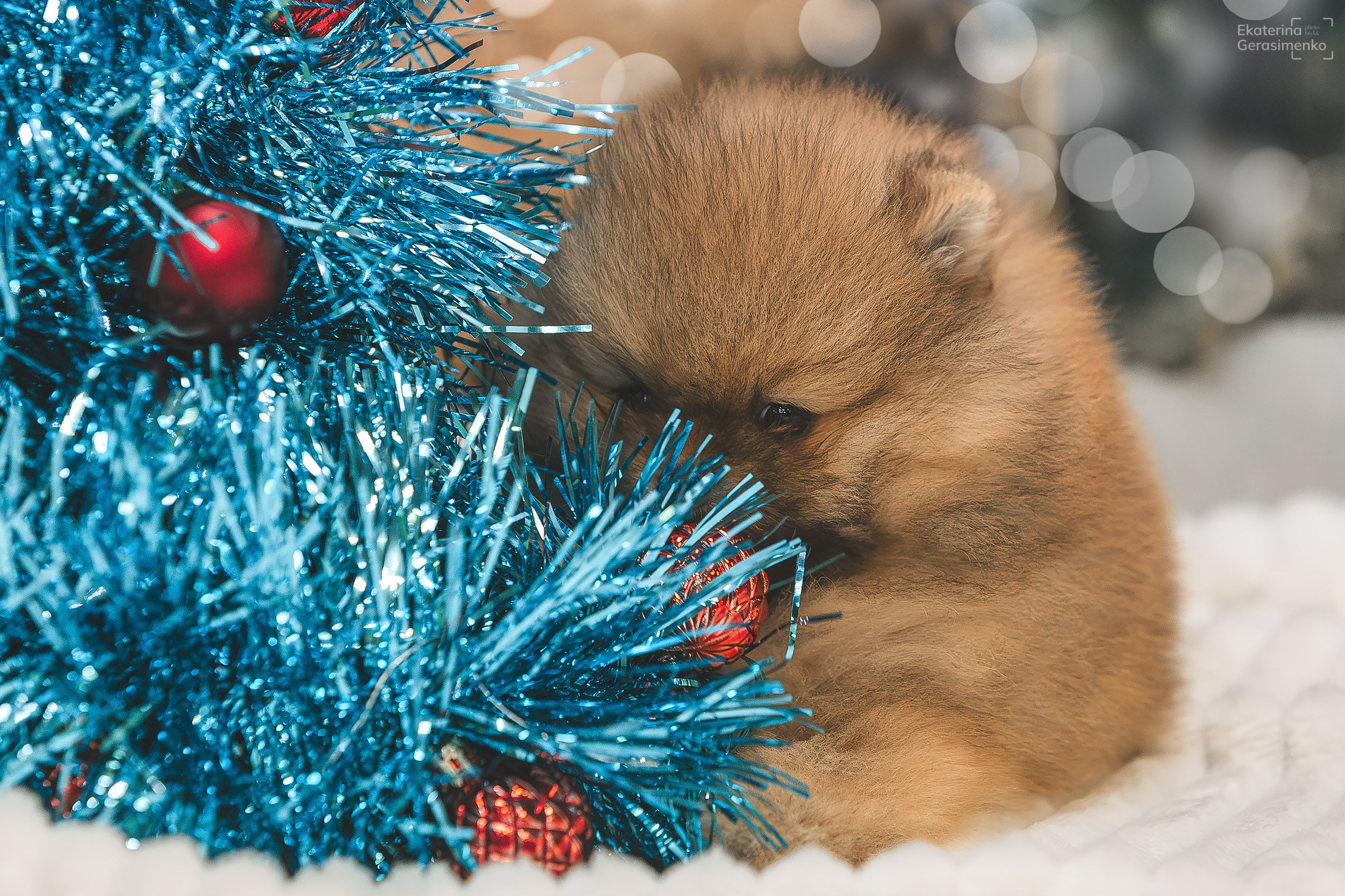 Фотодень. Htykk_photo