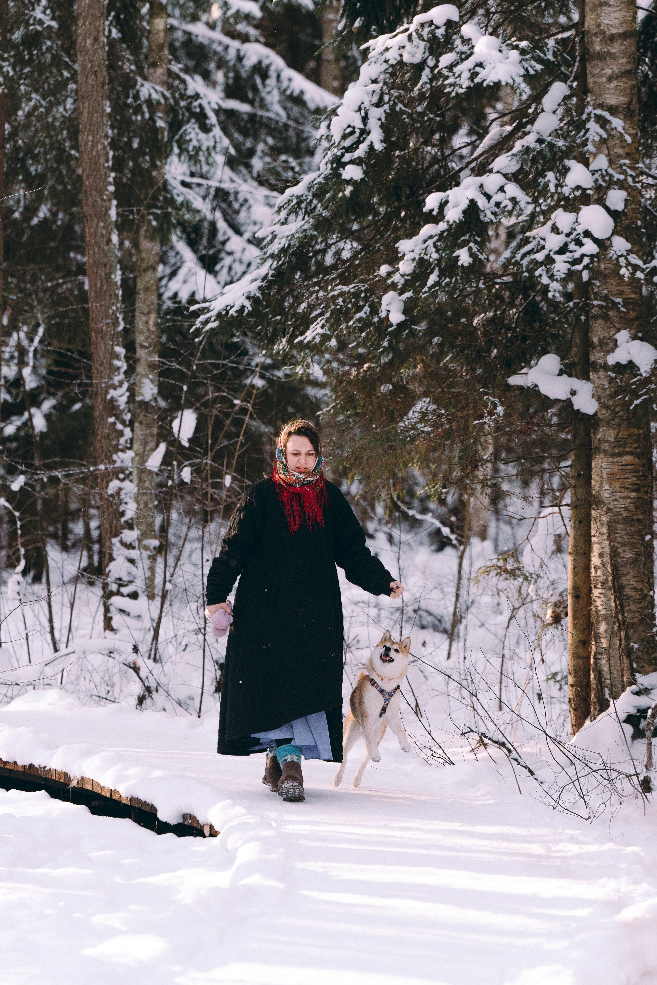 Каори, Анна и Антон. Фотограф анималист в Спб недорого Олеся Майорова