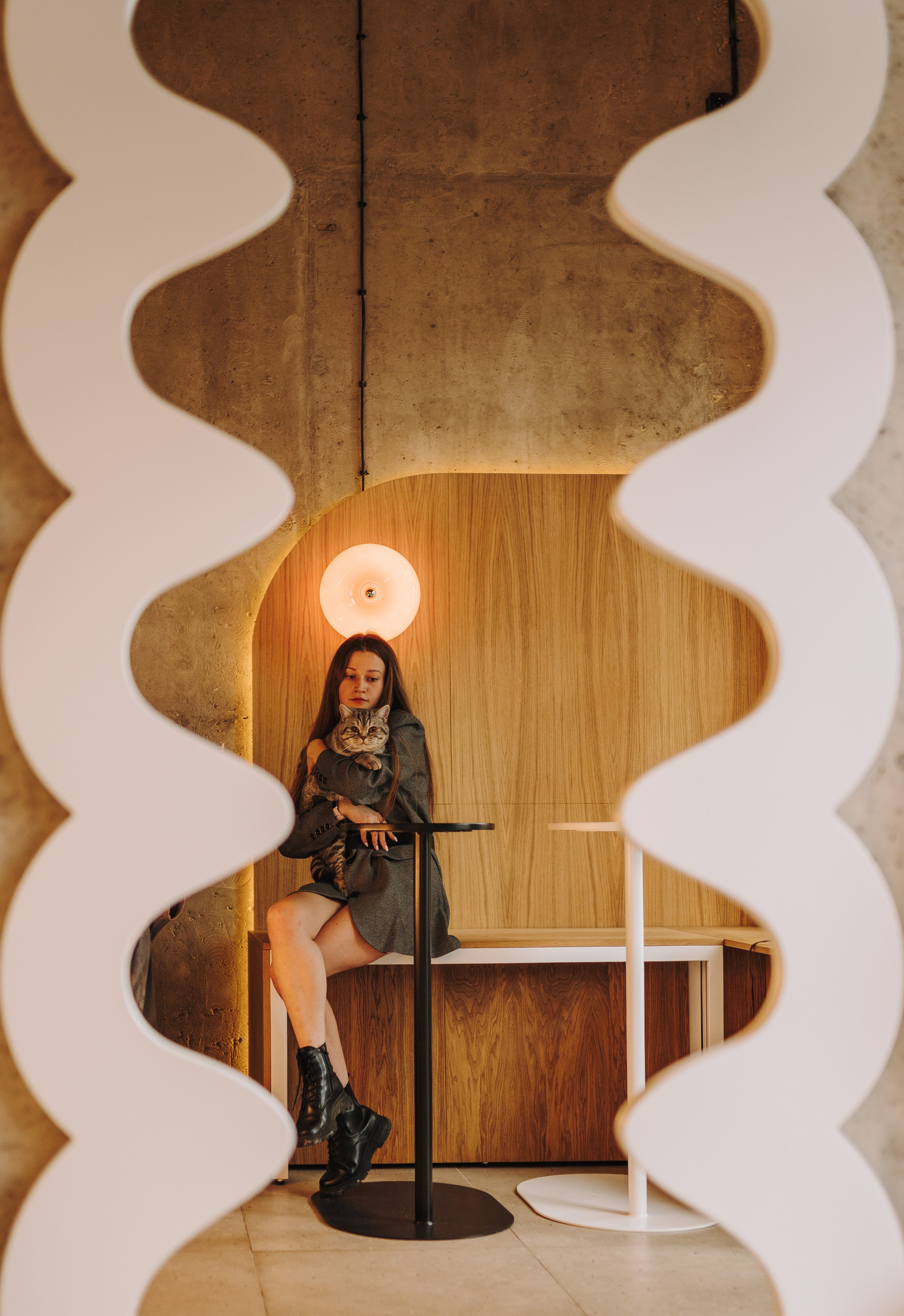 Портфолио кошки, фотограф Олеся Майрова. Фотограф анималист в Спб недорого Олеся Майорова