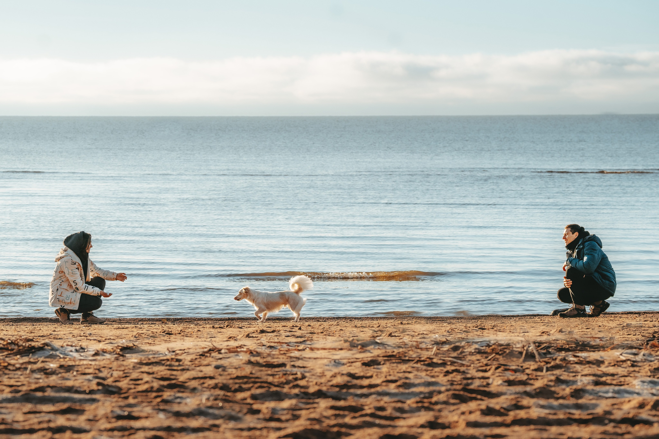Бруно, Алена и Антон. Фотограф анималист в Спб недорого Олеся Майорова
