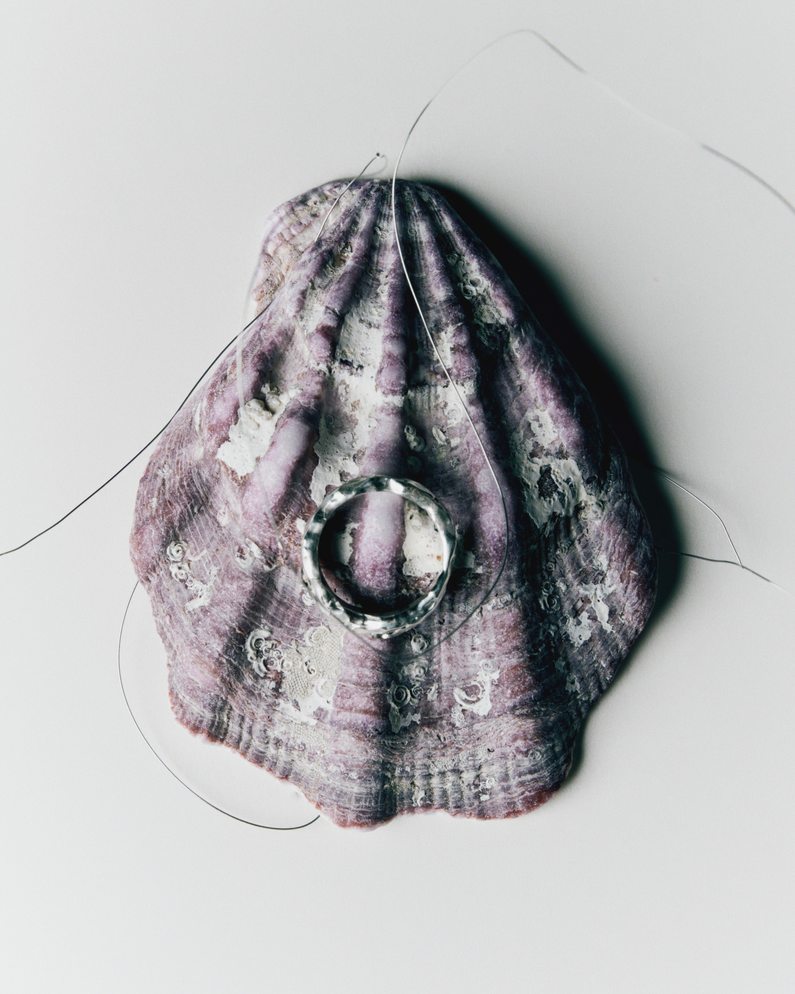 Аренда интерьерного зала фотостудии в Санкт-Петербурге. Фотостудия в Санкт-Петербурге Silver Studio