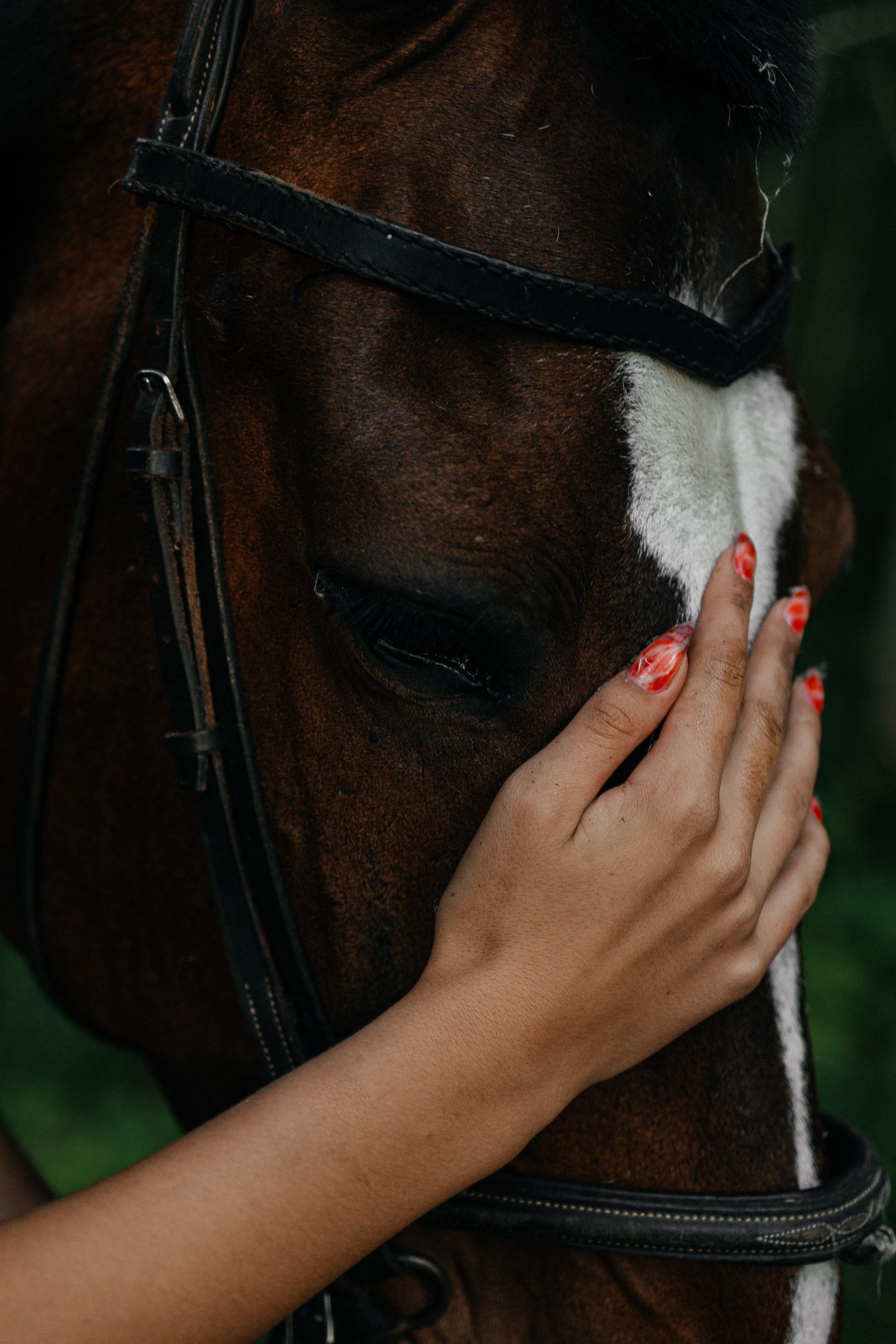 Даша/конюшня. Фотограф в Выборге и Санкт-Петербурге Маша Гуляева