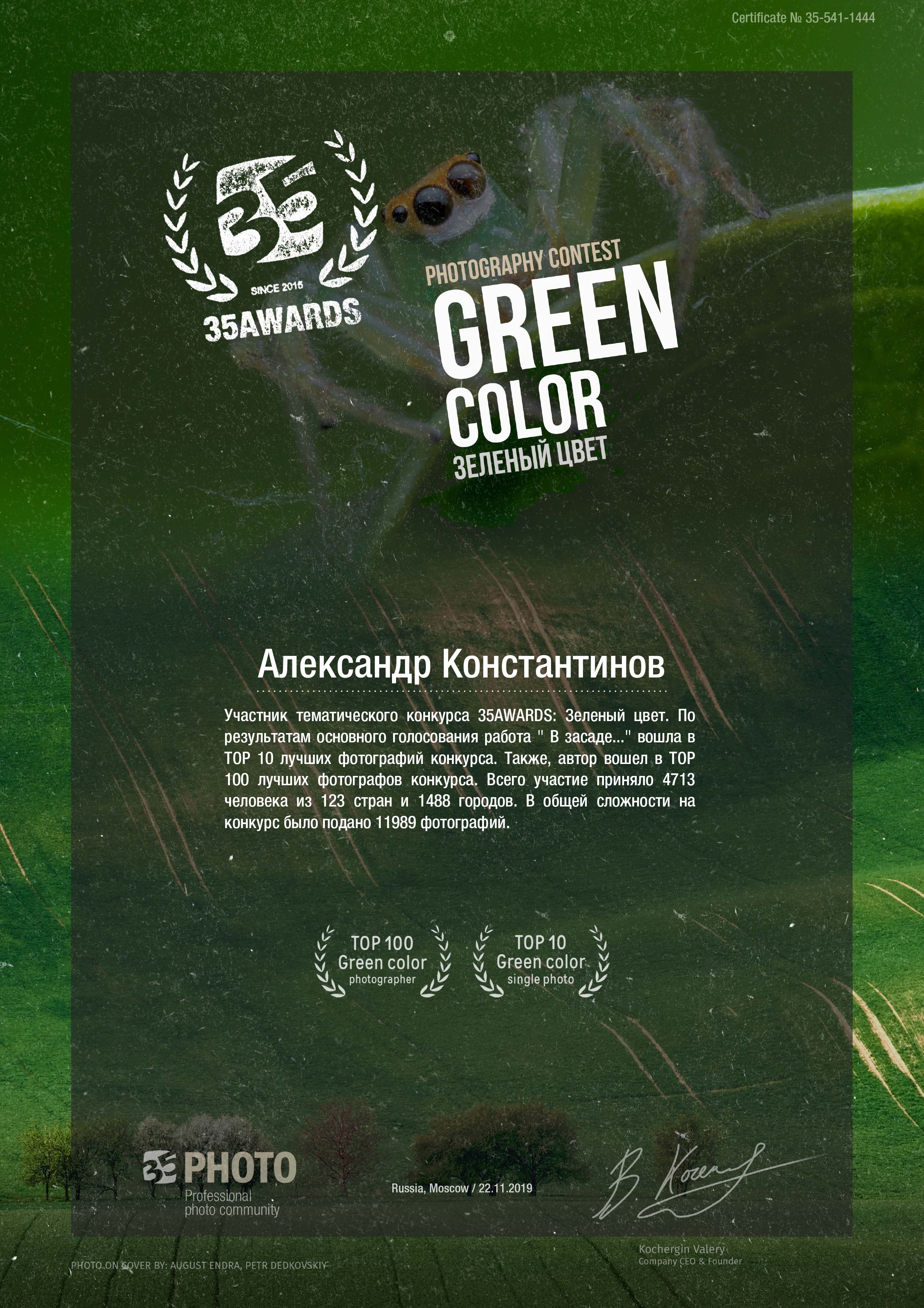 Дипломы, публикации в СМИ. Авторские стильные фотокартины