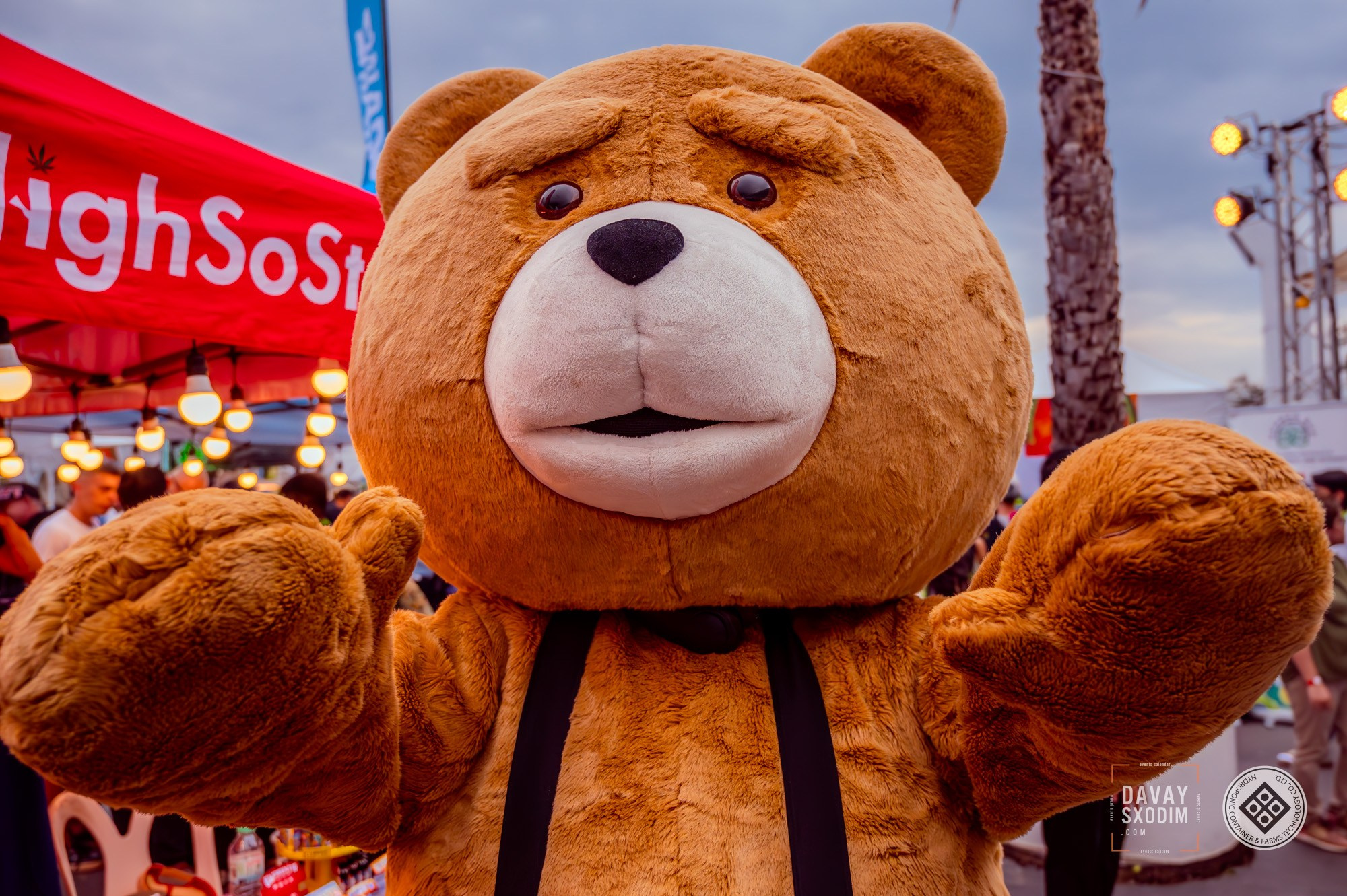 The Phuket Cannabis Cup 2025 Patong. Photo & Video production, in Bishkek, Kyrgyzstan