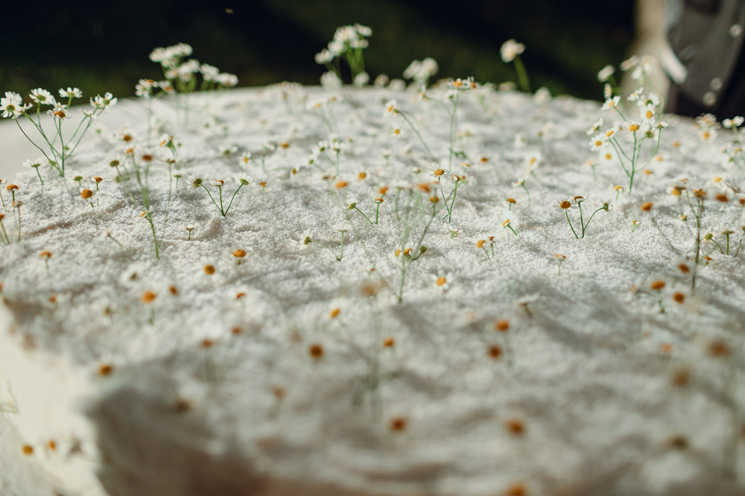 Фотограф Евгений Хмельницкий