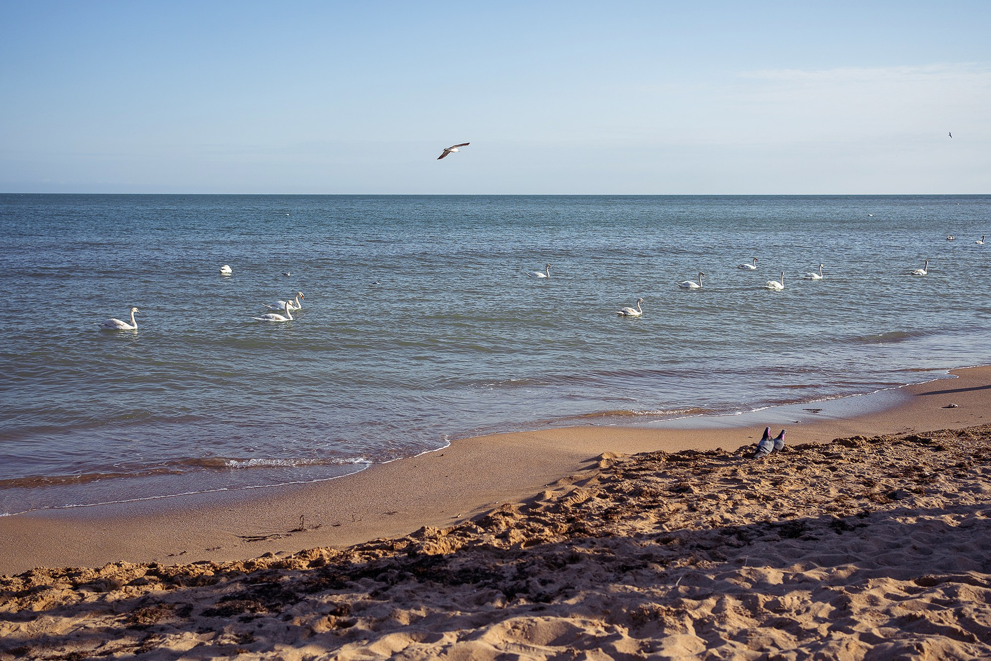 Свадебная фотосессия. Свадьба в Крыму. Свадебная фотосессия в Евпатории. Фотограф Зайцева Надежда. Свадебный фотограф в Крыму. 