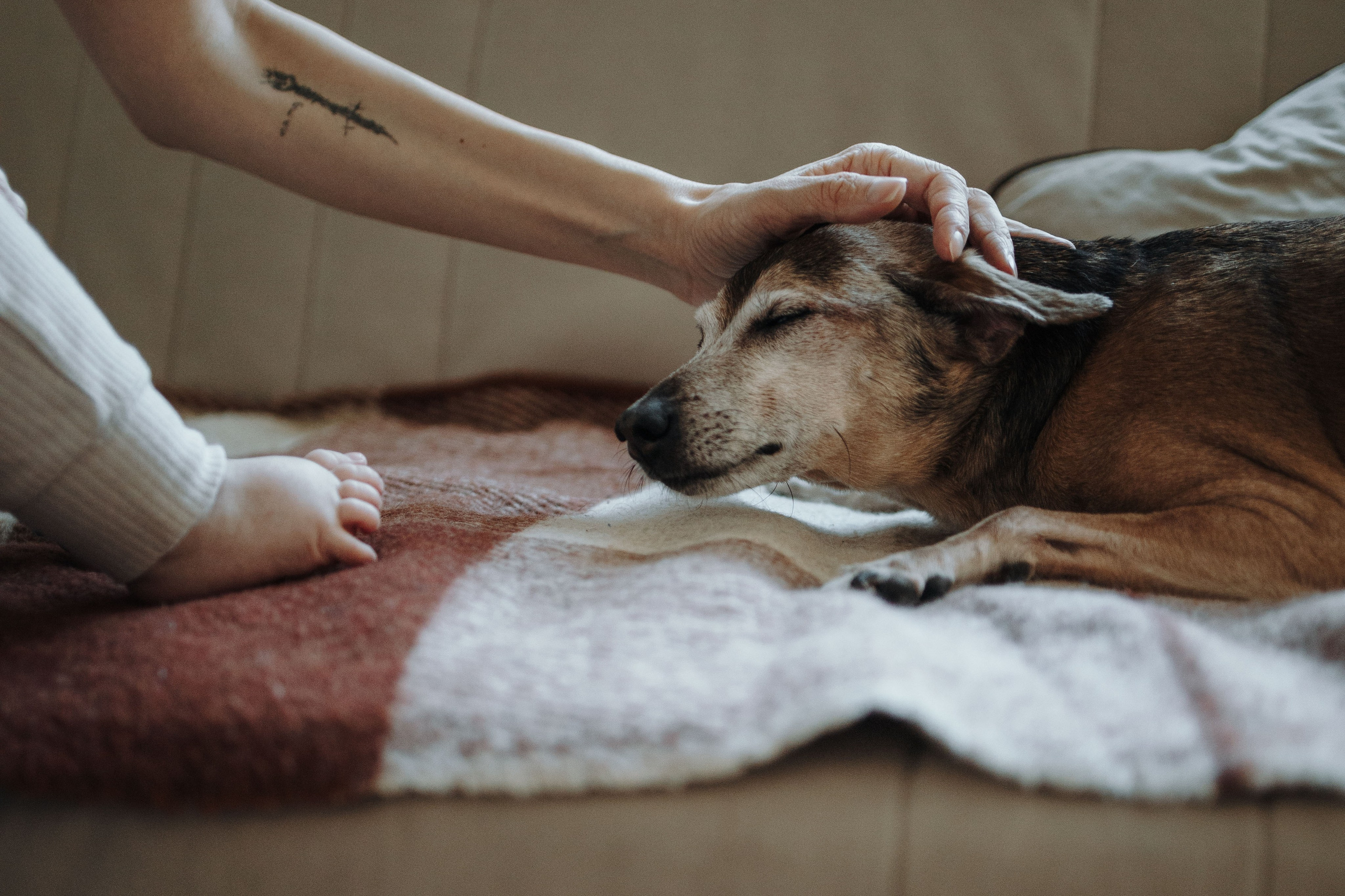 Николас и его семья