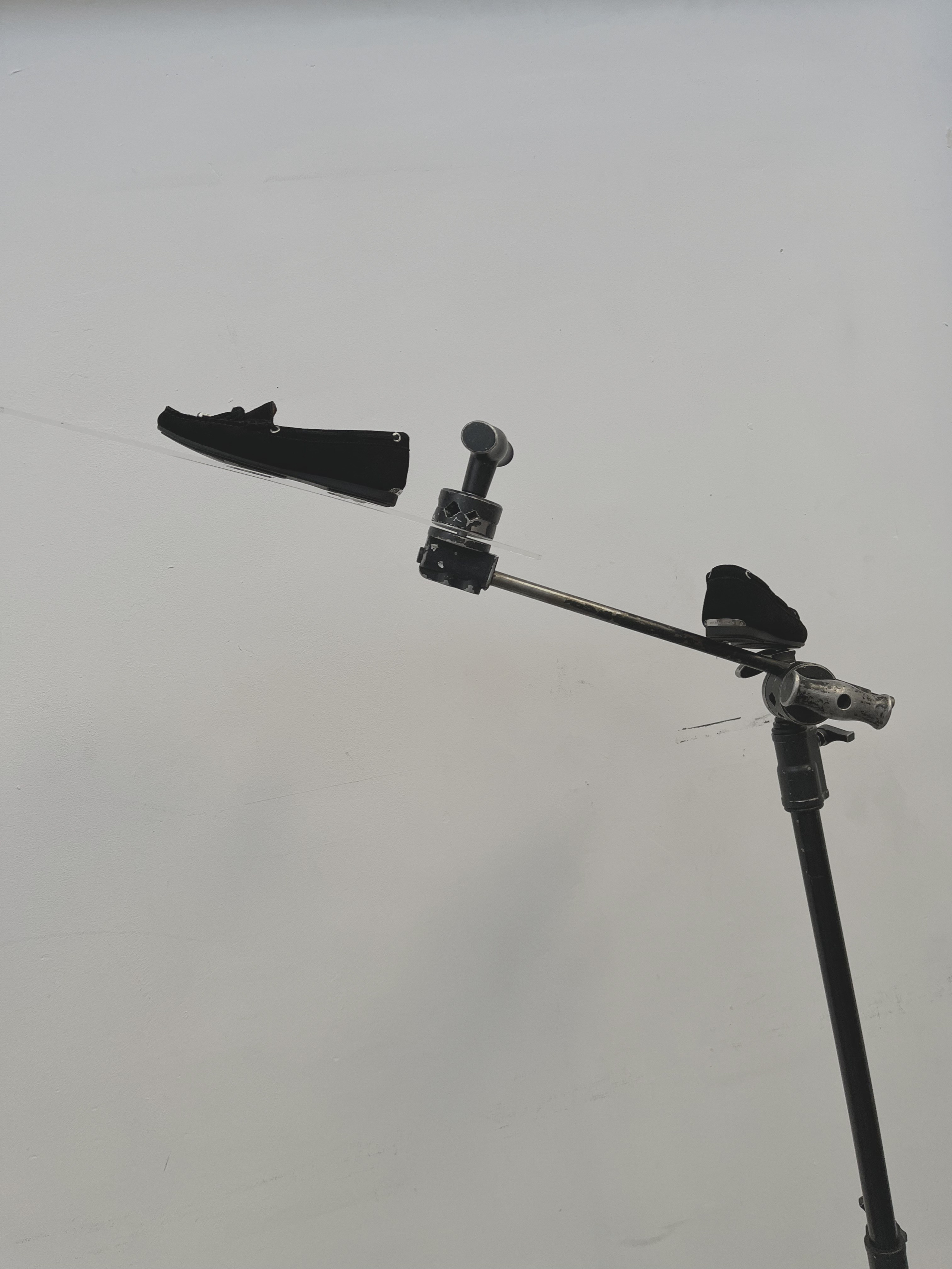 Series. Art direction & Design | Curiosa