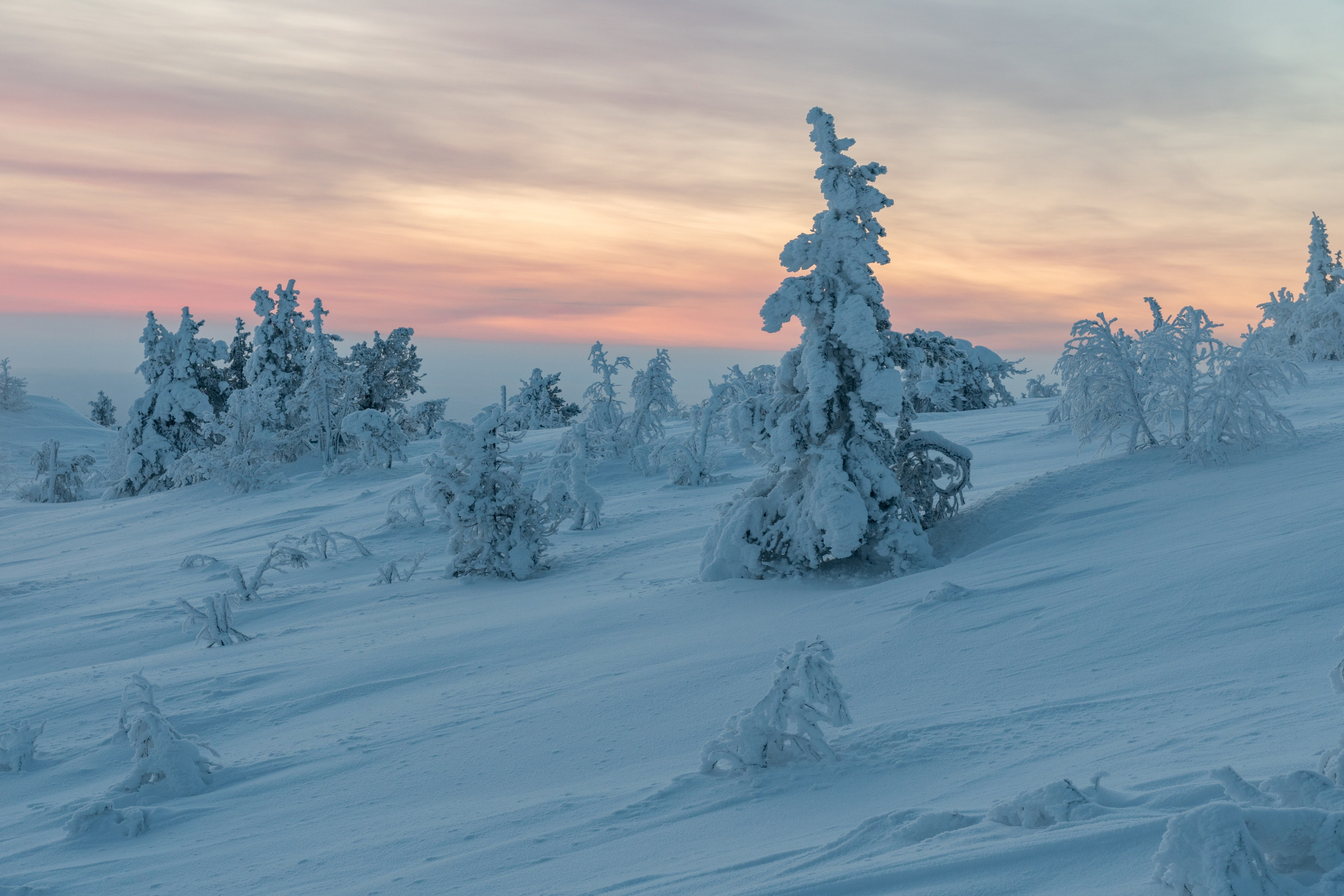 Зима на Кольском полуострове. Daria wanderer photography