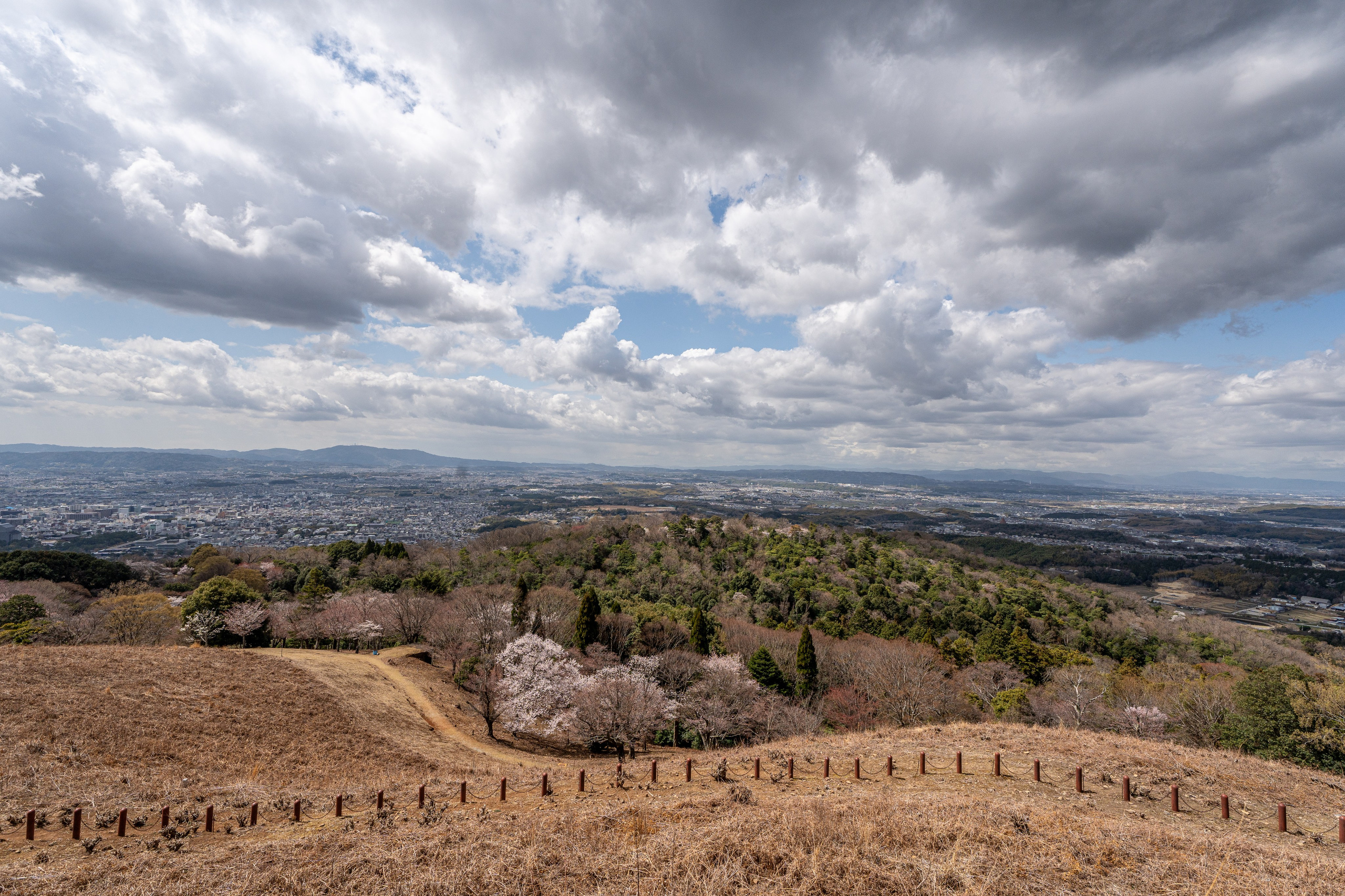 Япония, сакура. Творческие сьемки