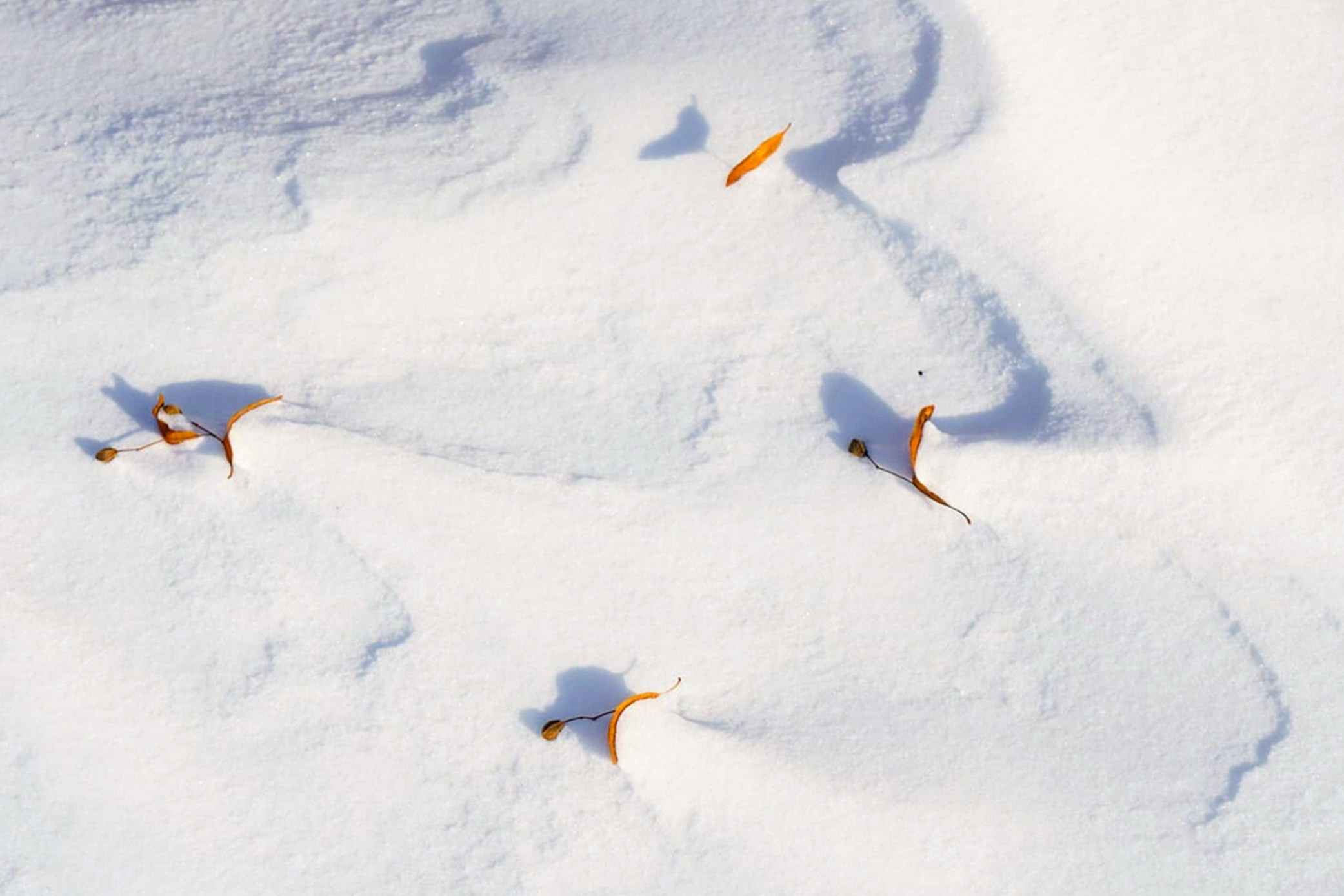 Симуляторы (Каталог № 3). Главная