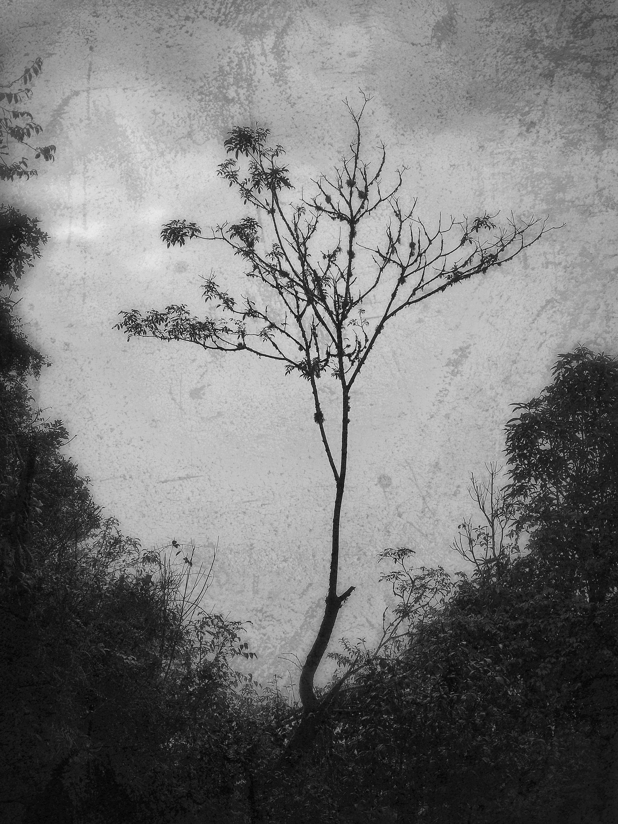 Фитография. Фотограф в Москве, в Самаре Инна Мамонова