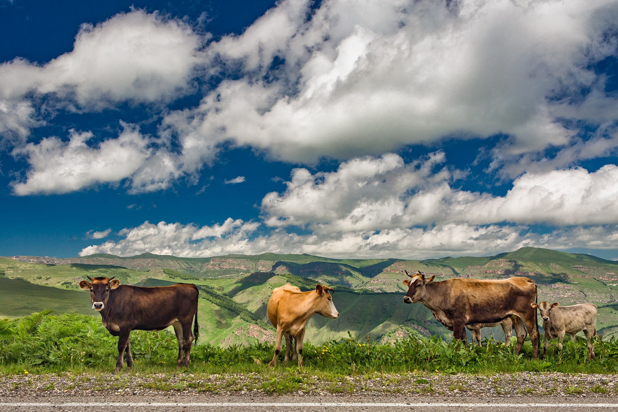 Северный Кавказ, Россия. Фотограф Владимир Остапенко