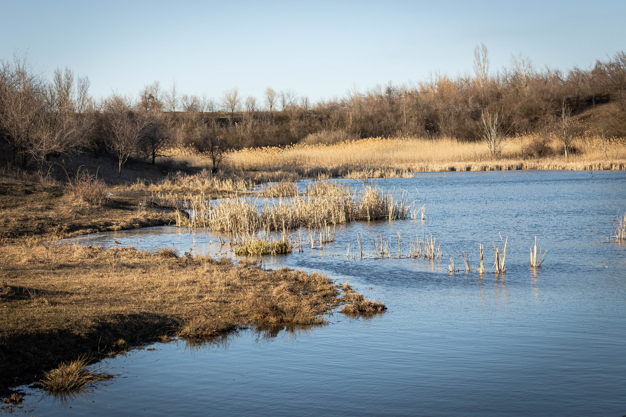 Дикий животный мир. Фотограф-АниМалист Анна Абрамова