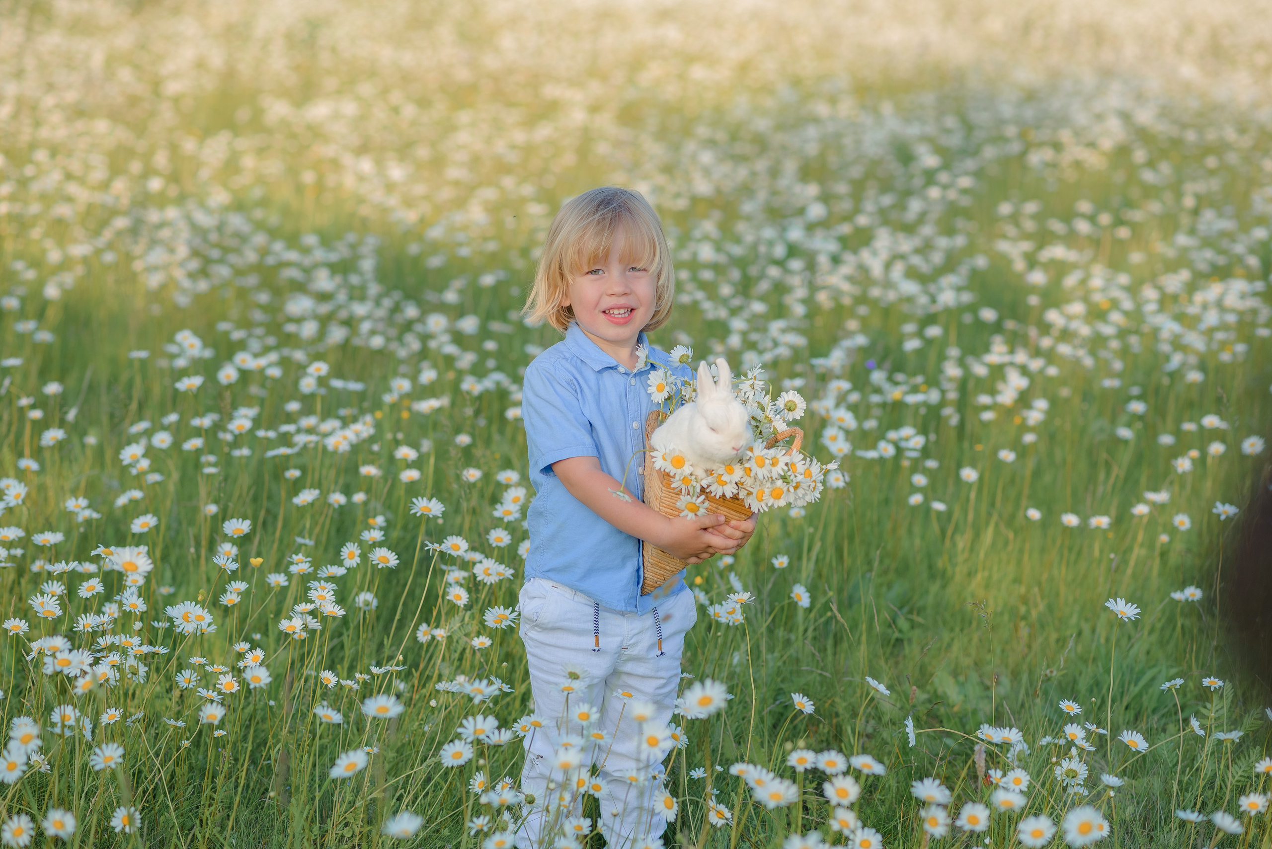 Ромашковое поле. Семейный фотограф в Рязани Мария Ермакова
