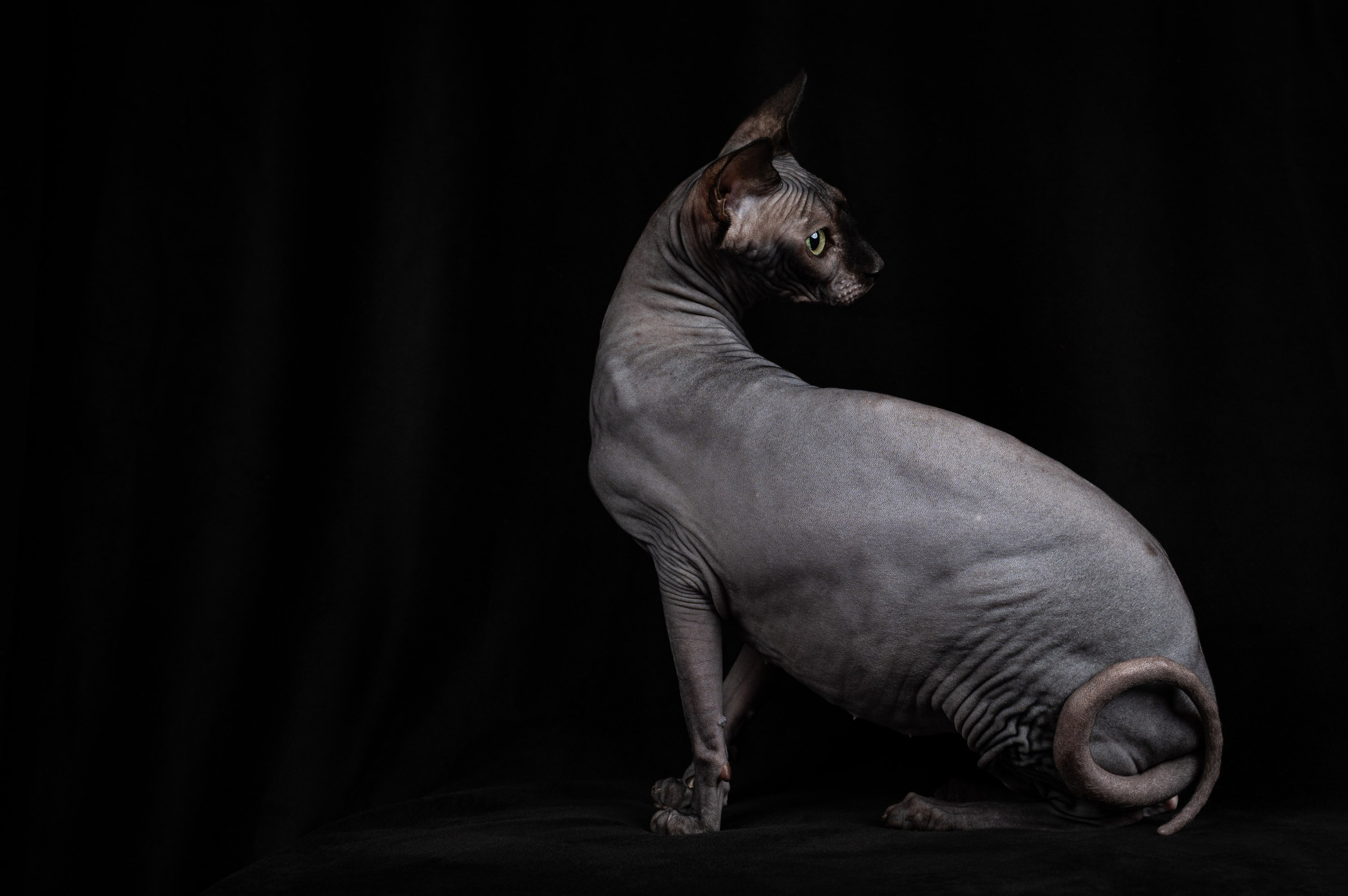 Alexandrovna photography