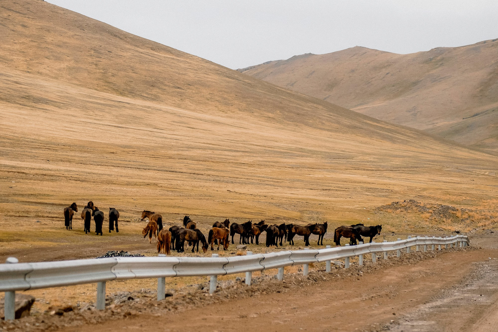 Mongolia landscape. Iraogo