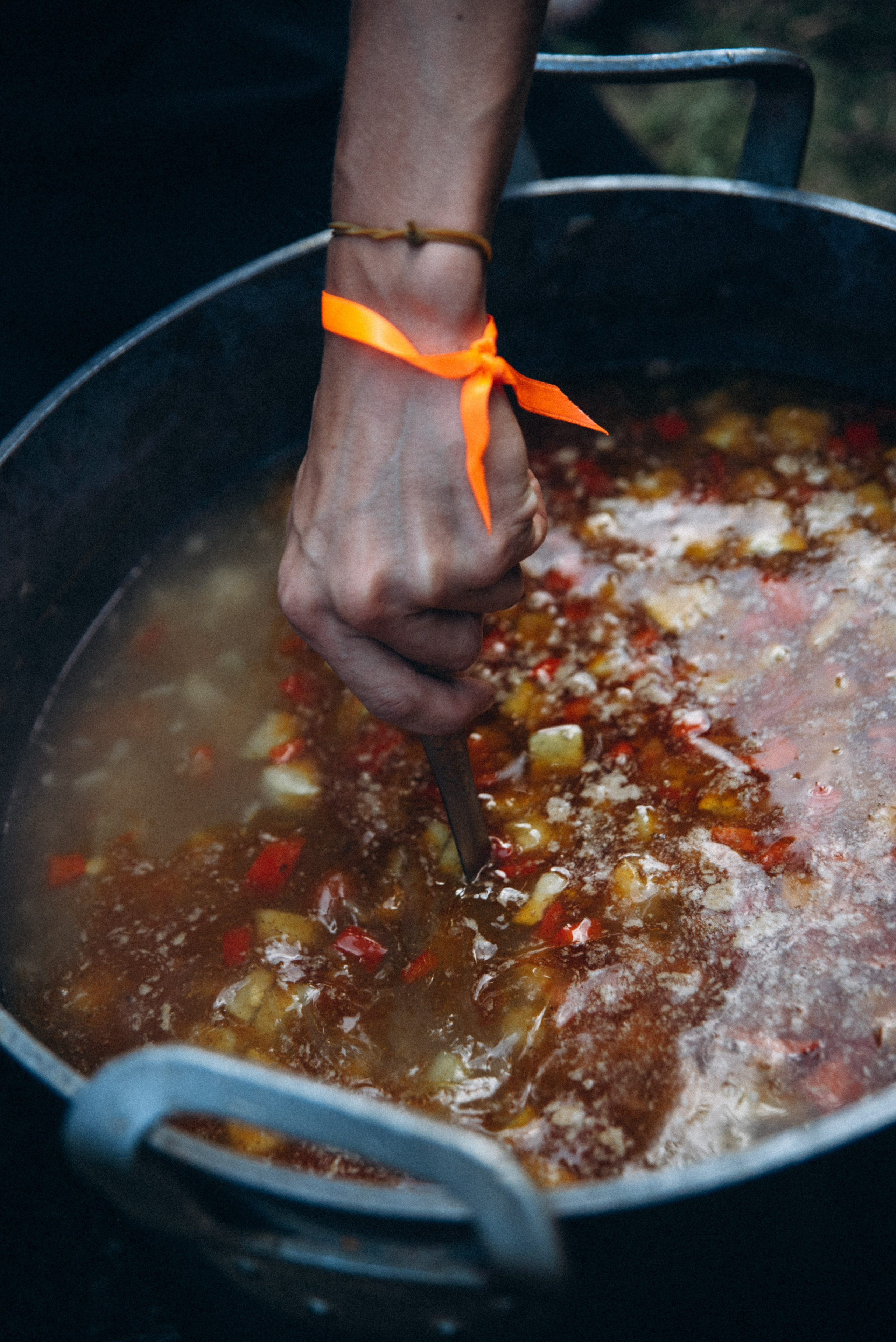 Harmoyfest 2023 Georgia 🇬🇪. Anita_photo