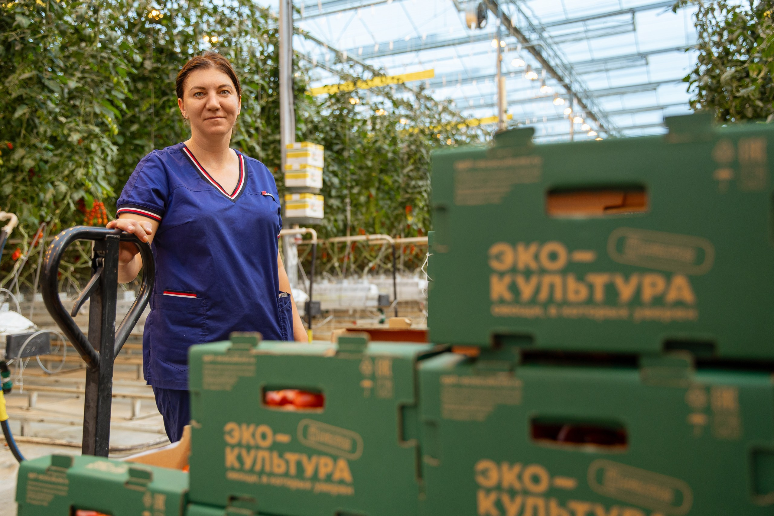 Производство. Фотограф Николай Петрушкин | Ставрополь, Москва