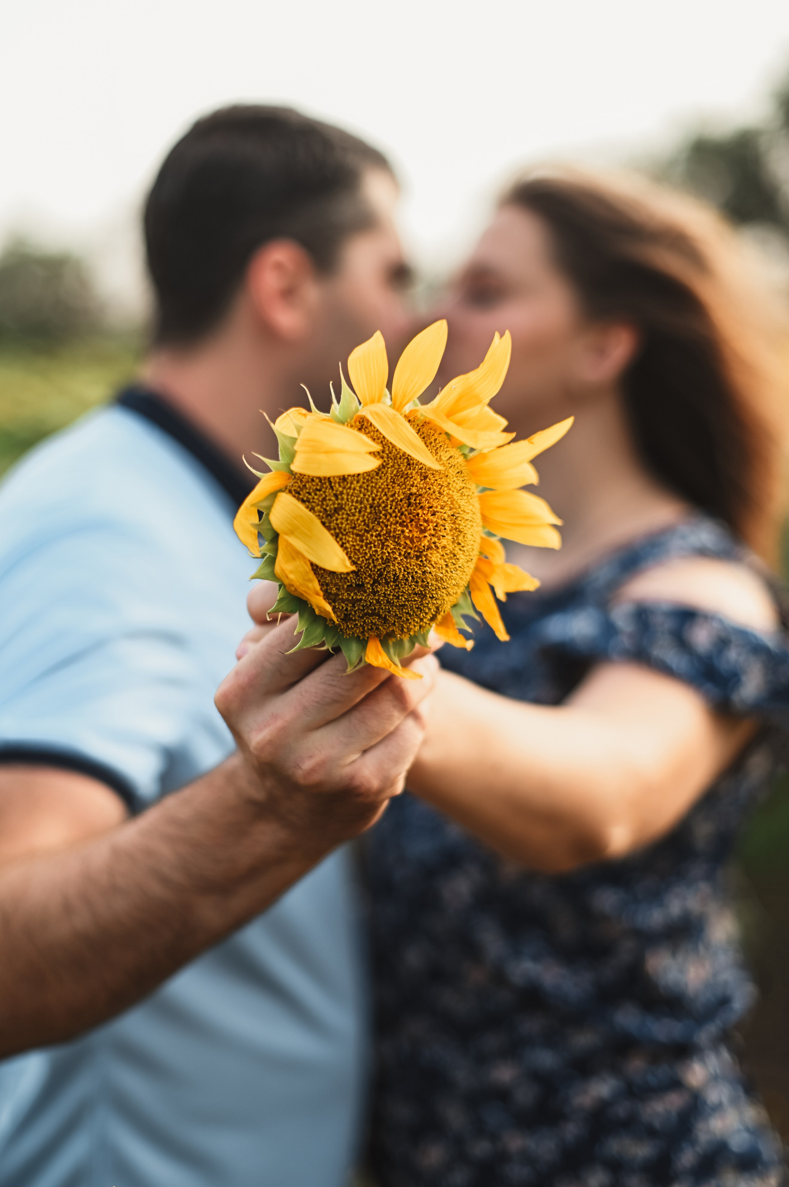 Подсолнухи Света, Даша, Миша, Александр. Фотограф Алёна Мил