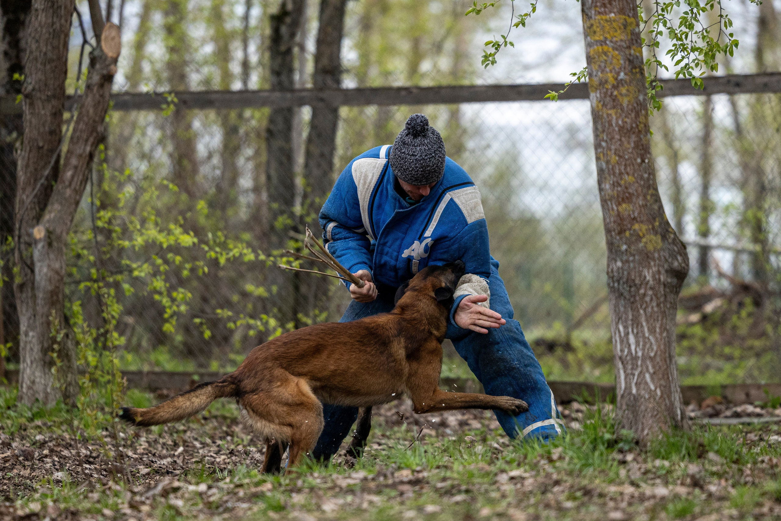 Квалификационные состязания по мондьорингу г. Вологда 11.05.24. Фотограф-анималист Анна Маринич