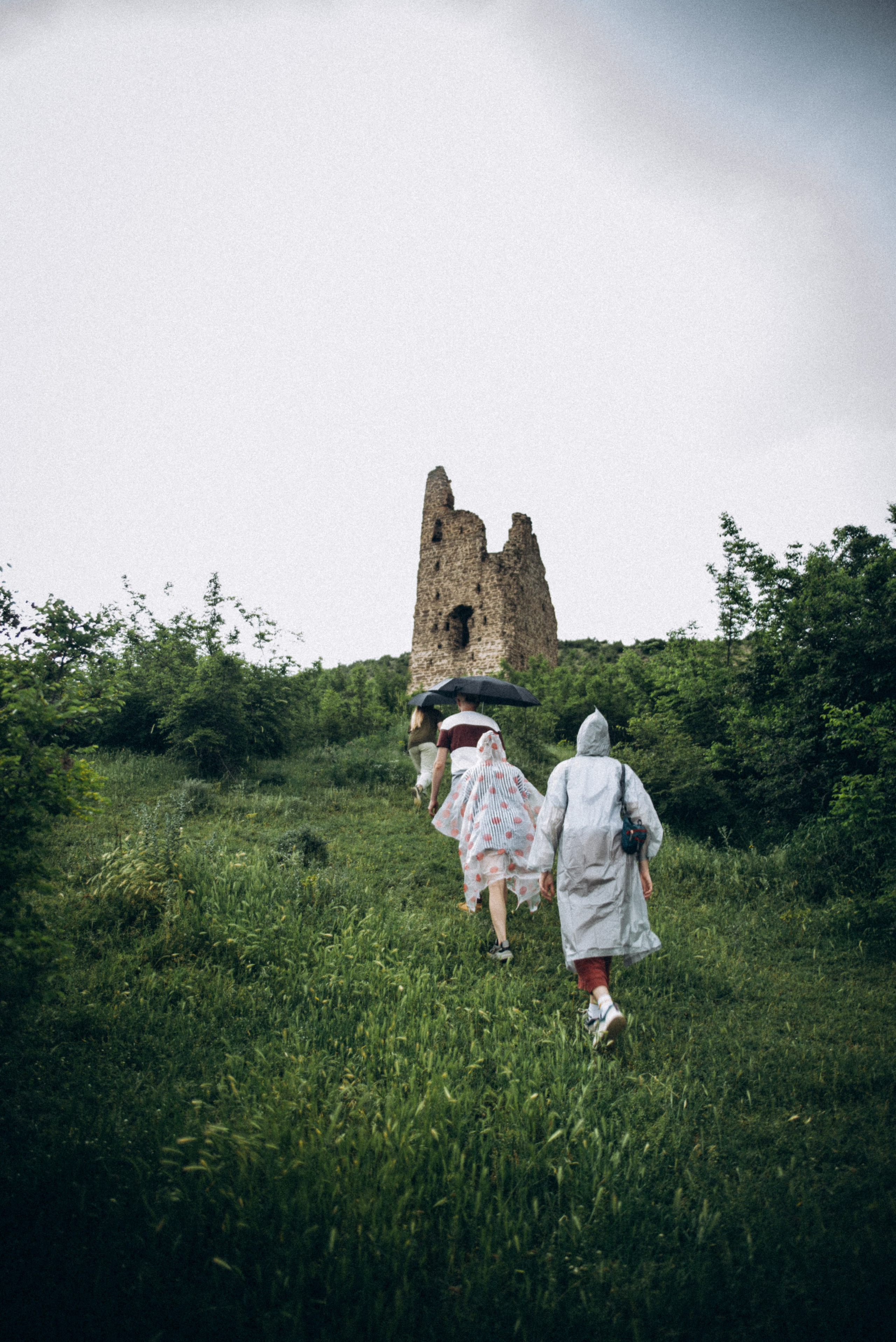 Коджори, Грузия 🇬🇪 «Honey Trip». Anita_photo