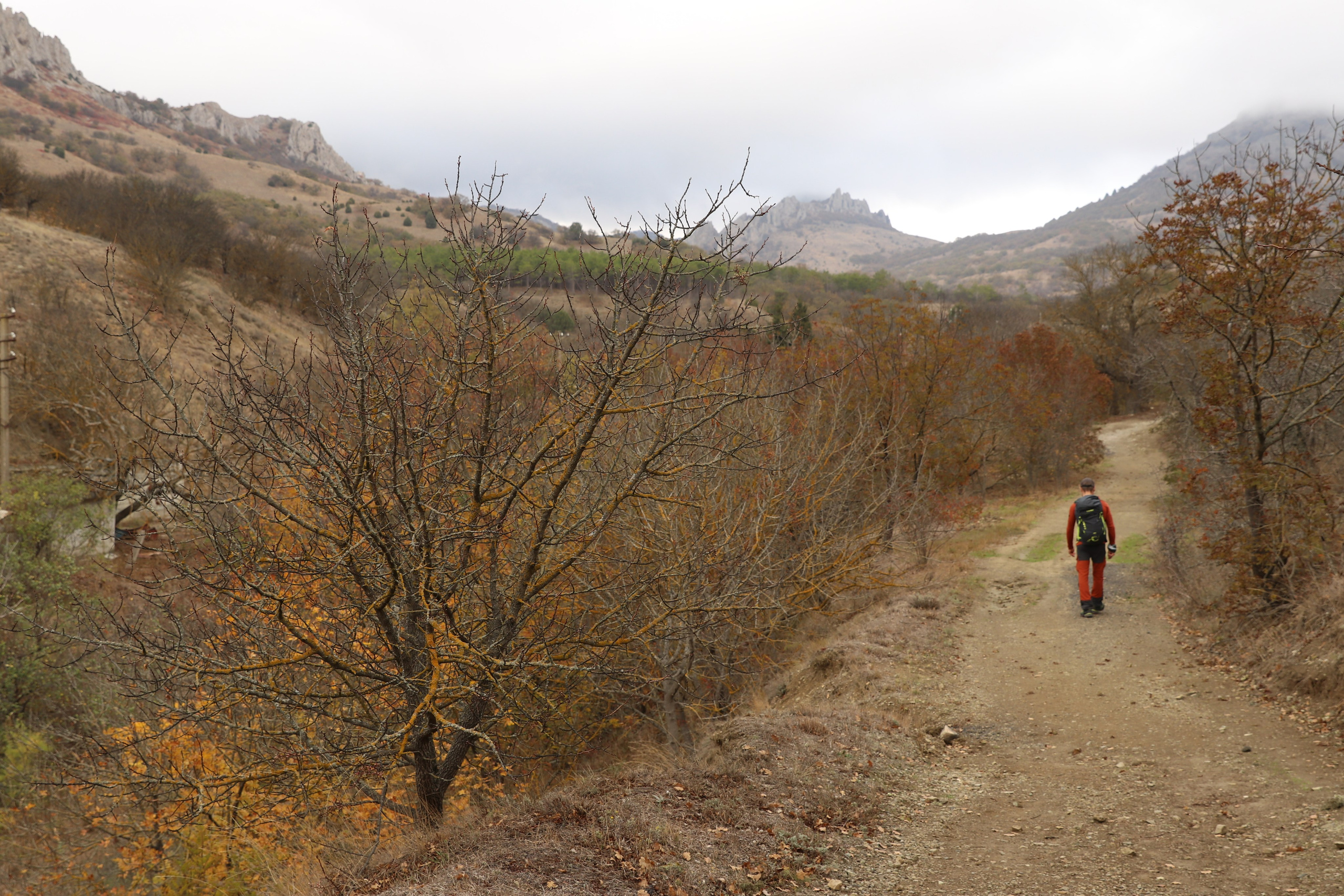 Крым. ЮБК (Гурзуф, Судак и их окрестности). Ноябрь 2023. Путешественник-фотограф из Санкт-Петербурга Татьяна Свистулина