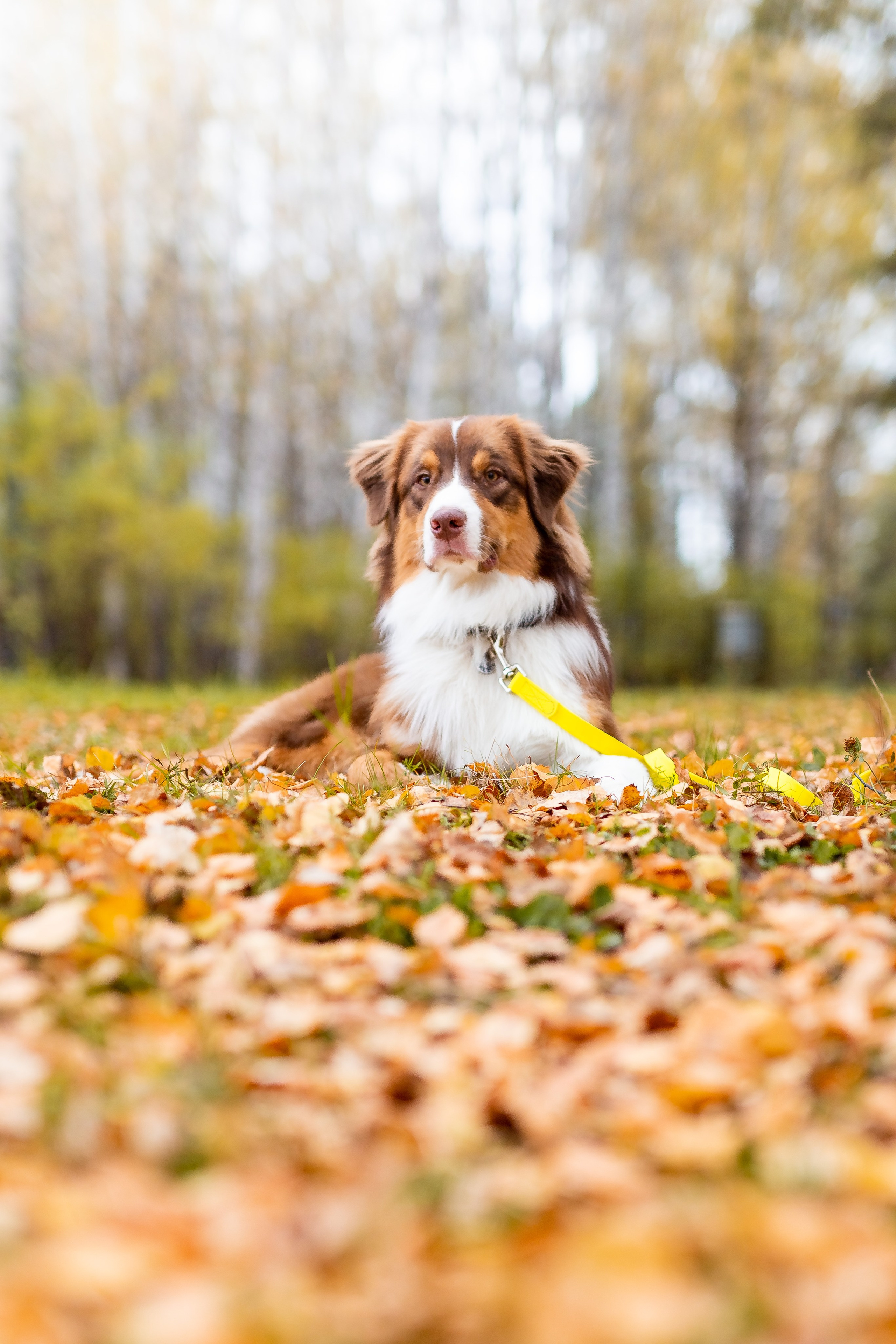 Профессиональный фотограф Верхняя Пышма. Семейный фотограф в Екатеринбурге