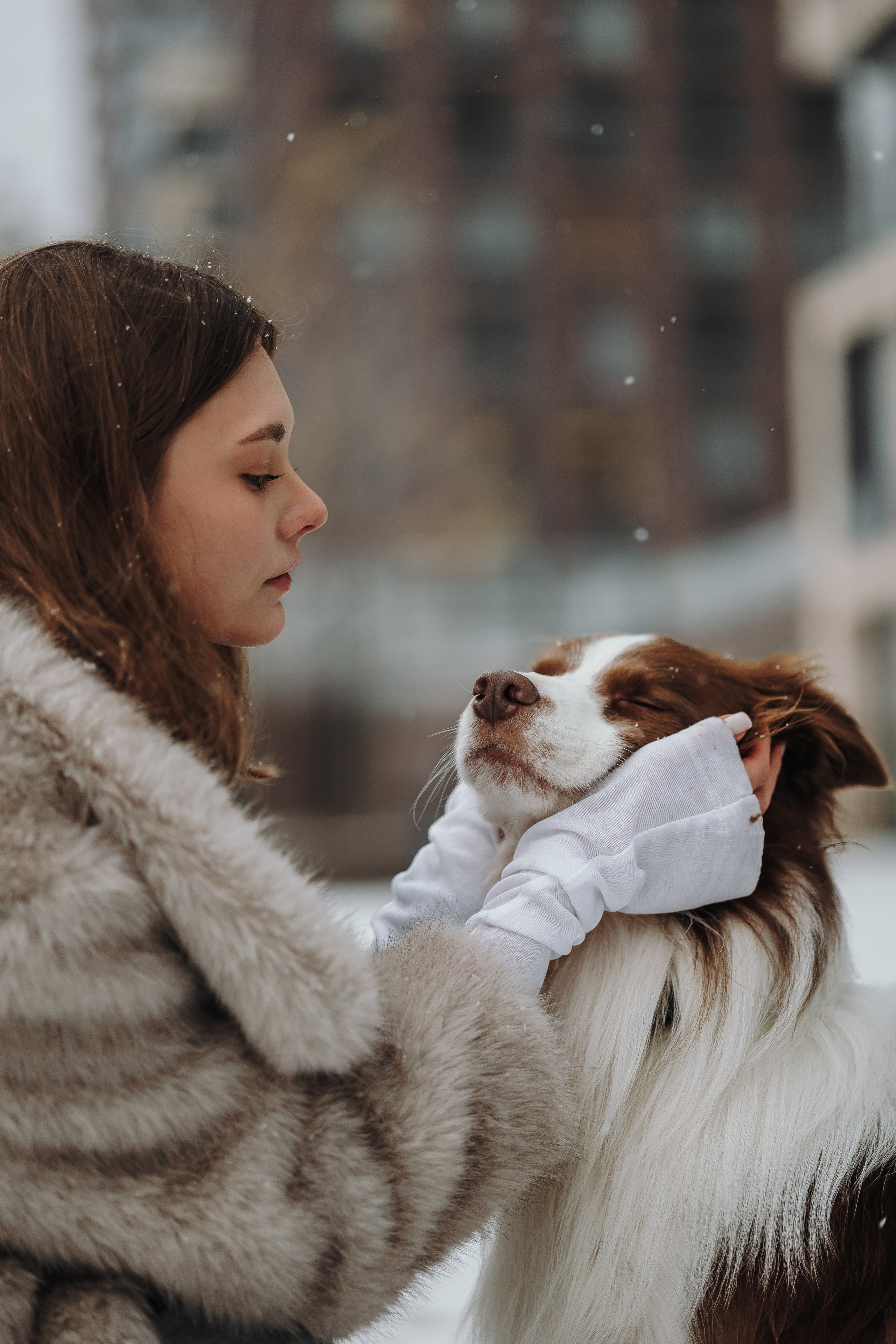 Маша и Брауни. Фотограф-анималист в Санкт-Петербурге Алина Яхонт