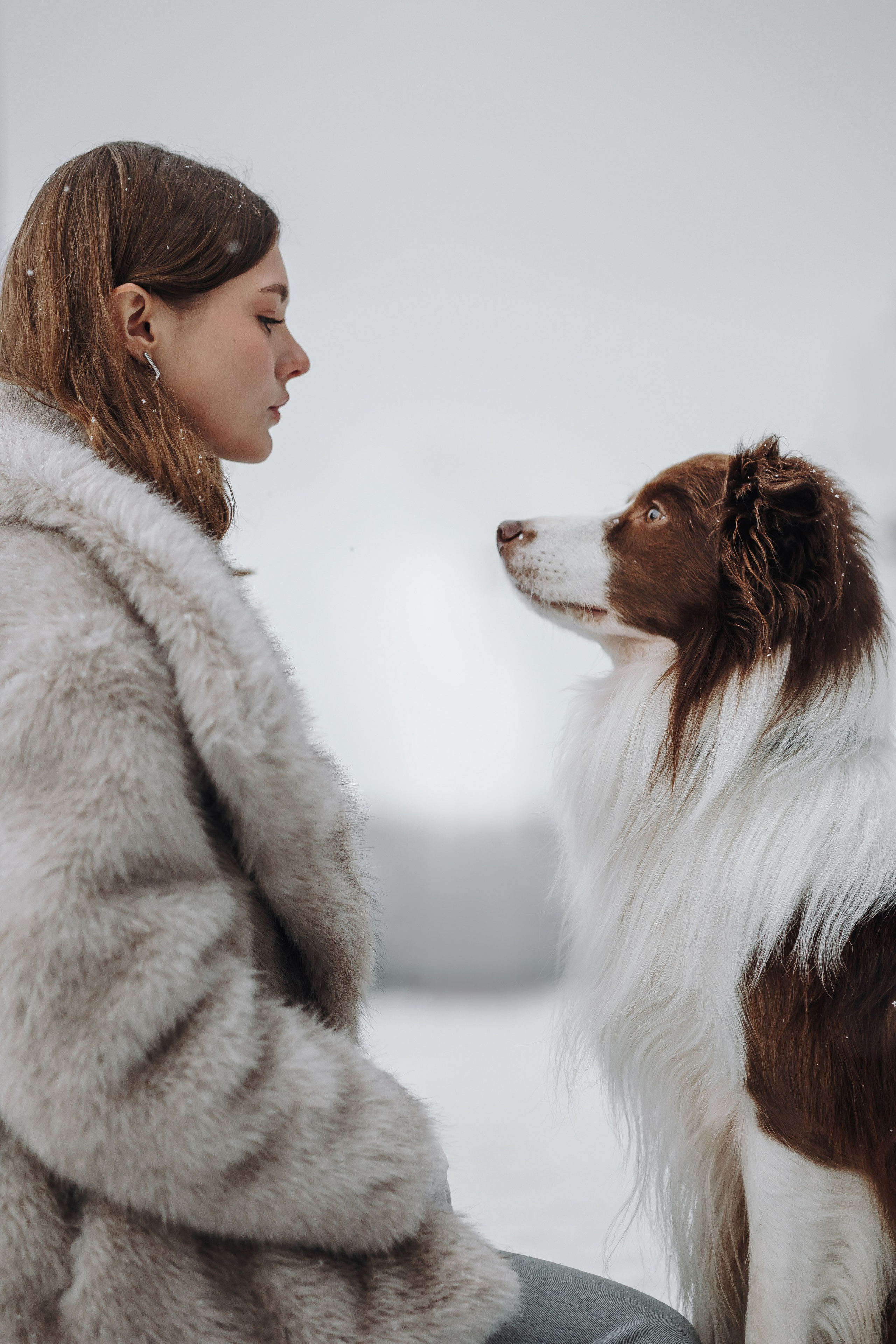 Маша и Брауни. Фотограф-анималист в Санкт-Петербурге Алина Яхонт