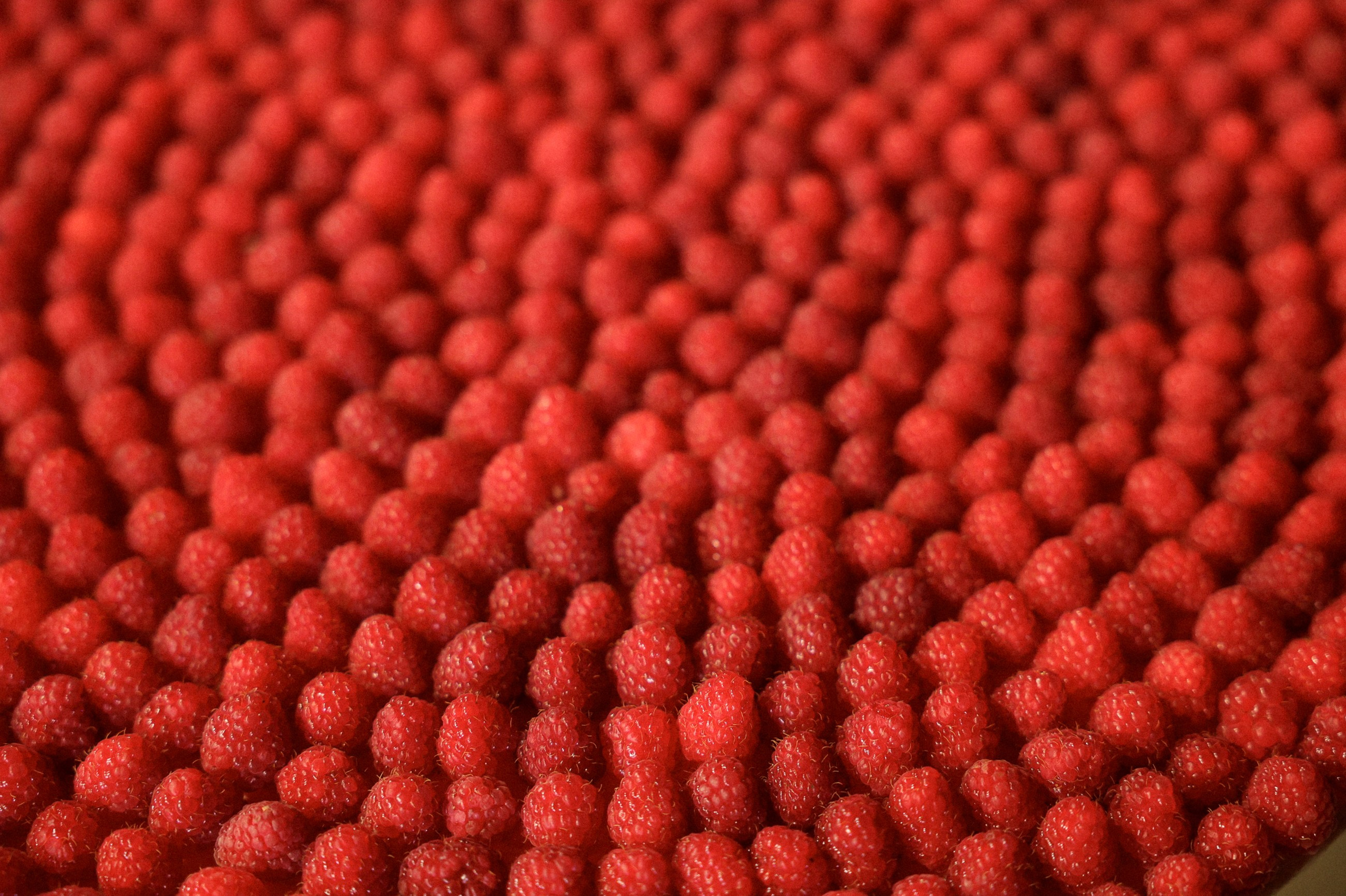 Александр и Екатерина. Фотограф в Севастополе и Крыму Артем Волобуев