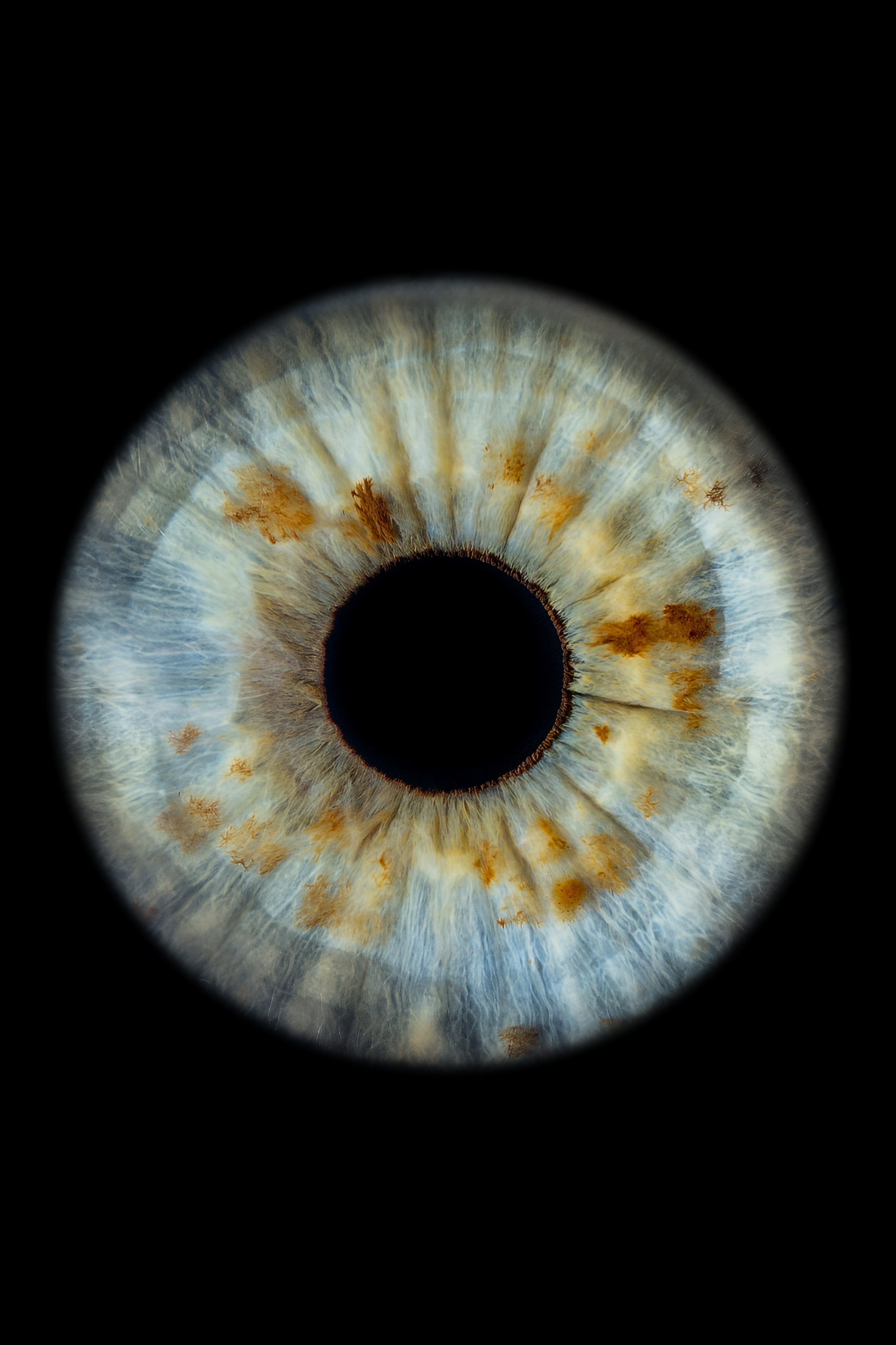 Примеры работ. Мой глаз