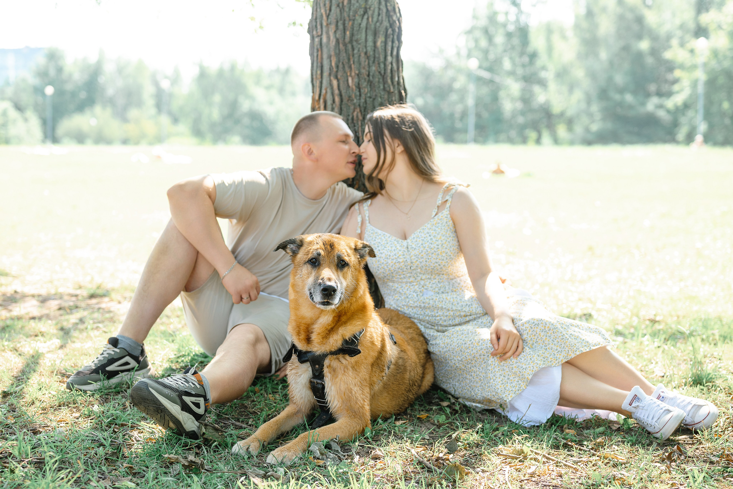 Лавстори. Дарья Медведева