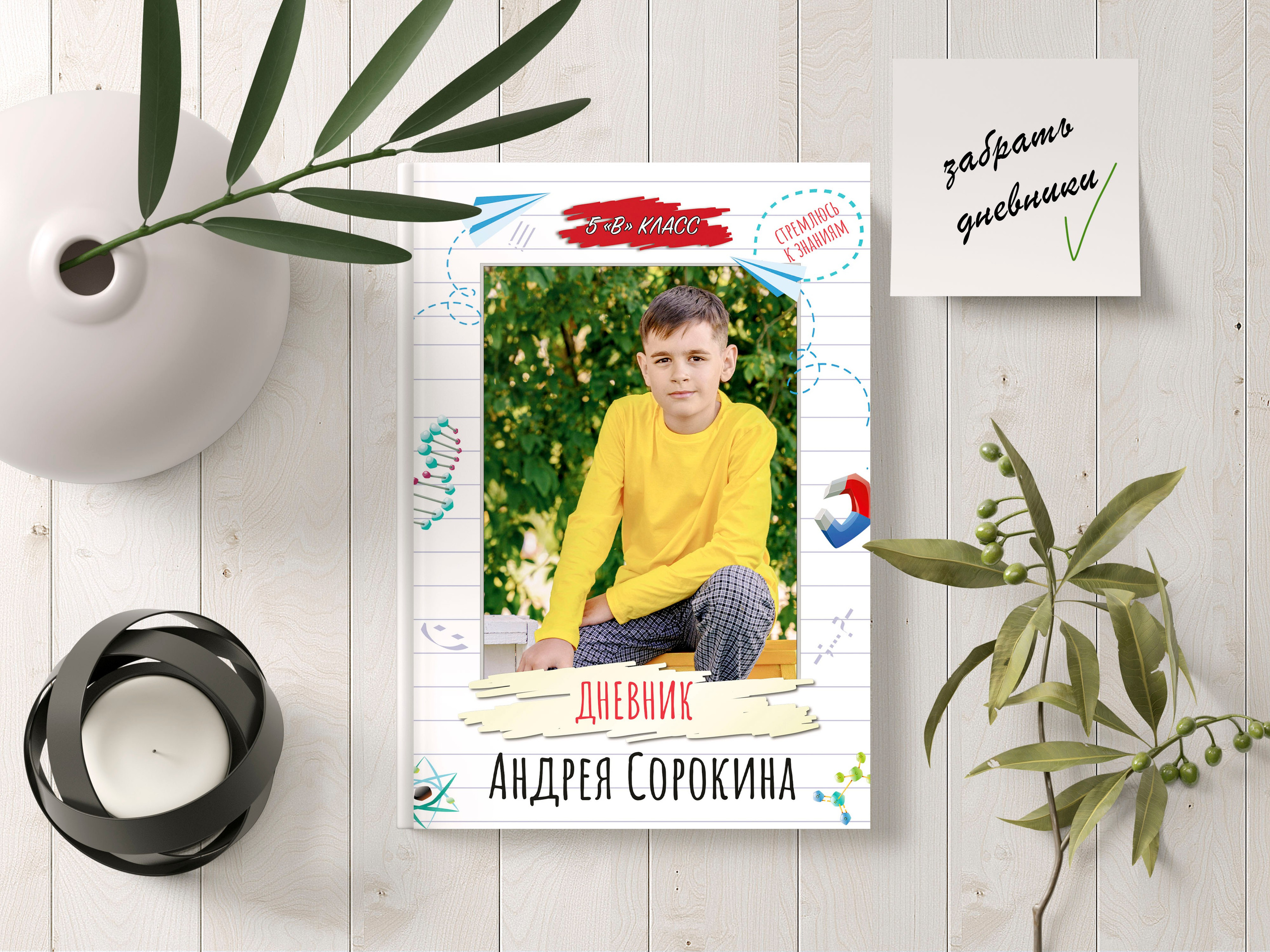 Дневник школьника. Школьный фотограф Троицк