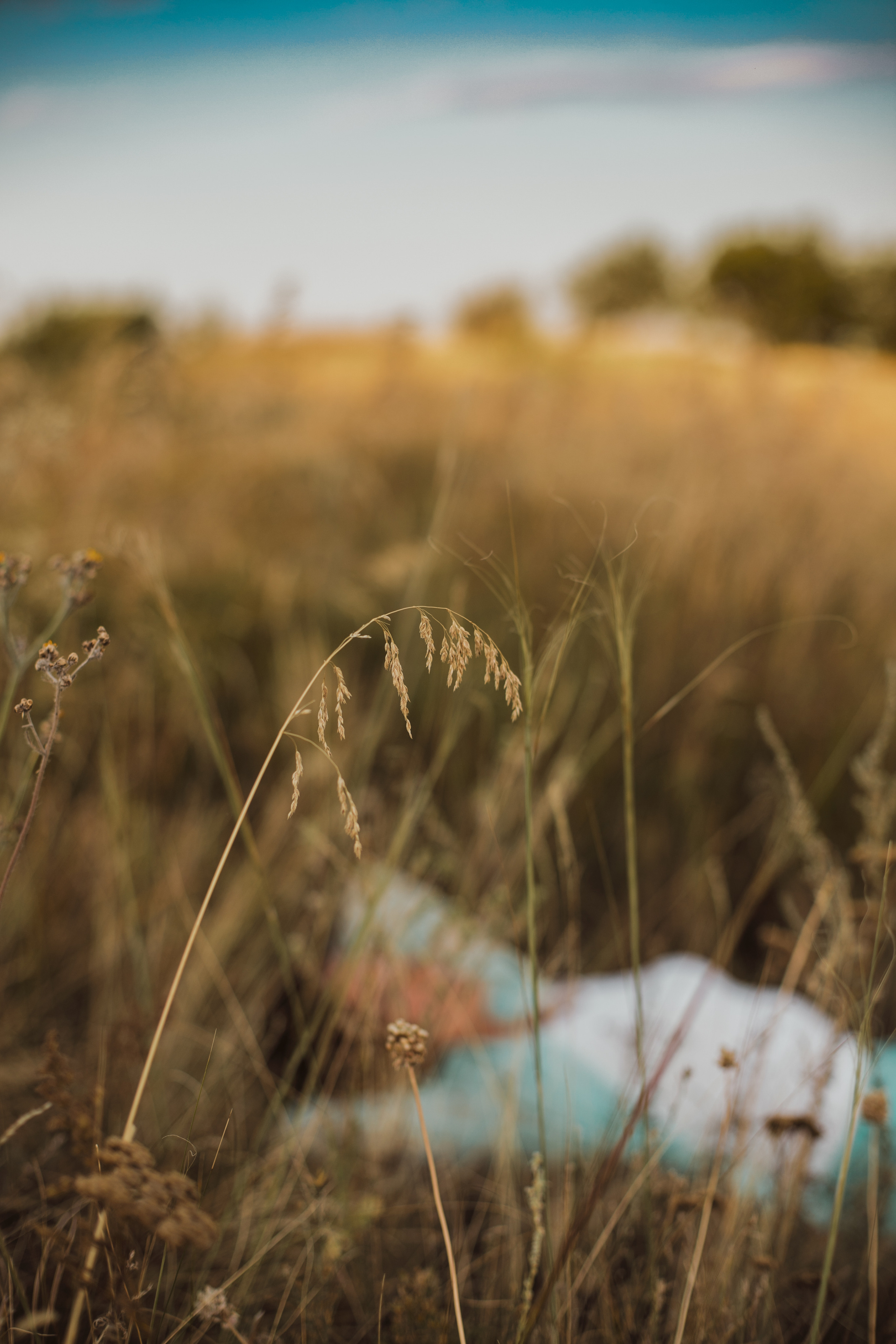 Елена. Фотограф в Саратове
