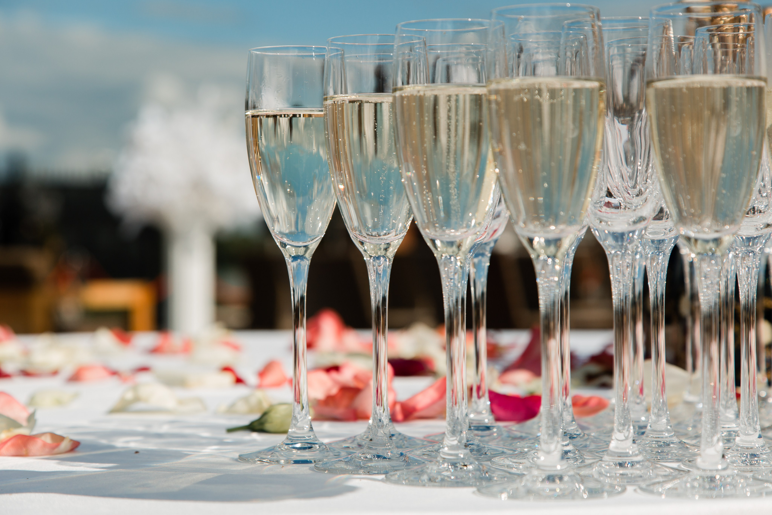 Свадебная фотосессия 3. Фотограф на свадьбу. Фотограф Анна Хомко. Беларусь, Москва, Варшава. Свадебная фотосъемка