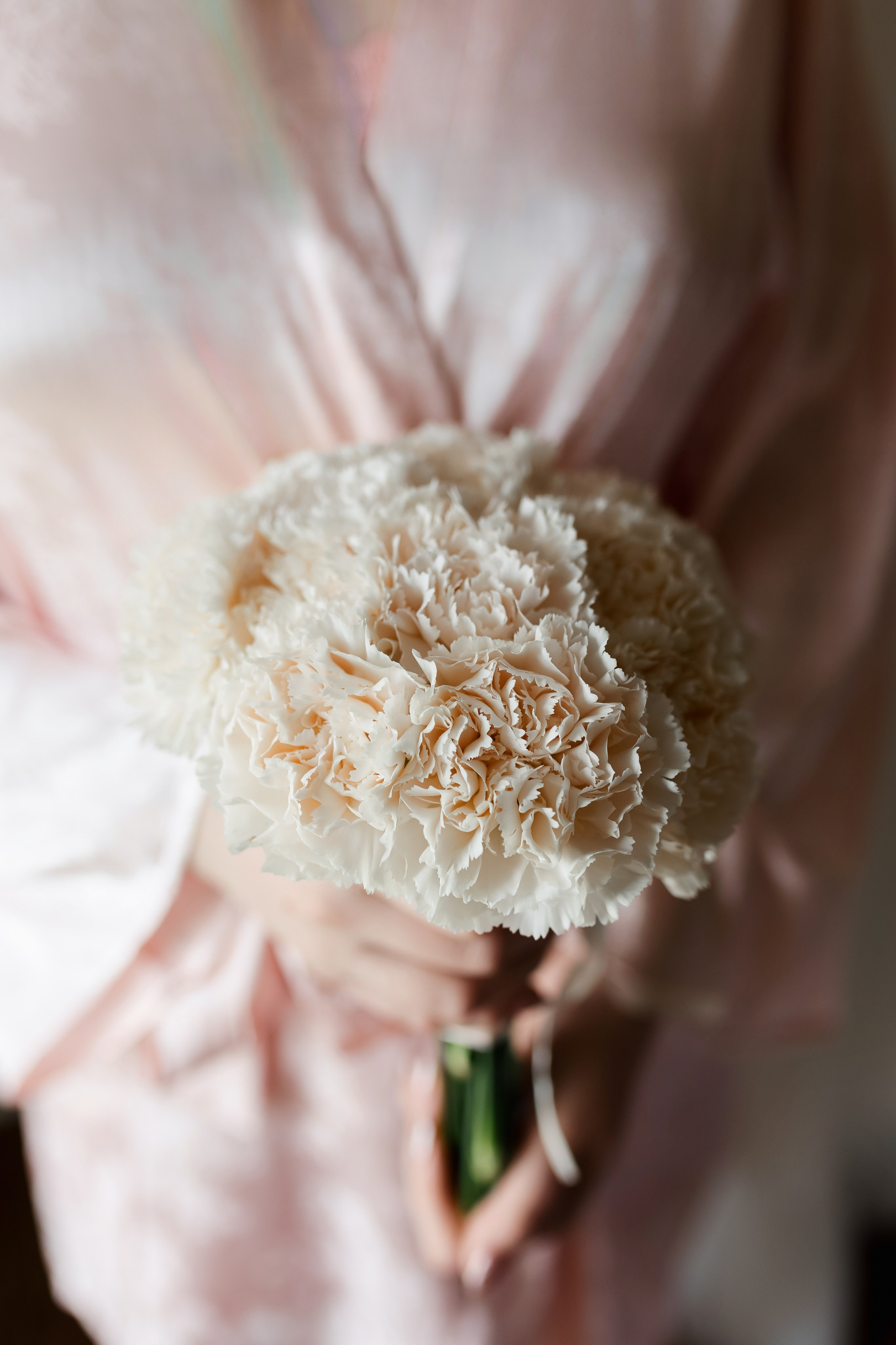 Егор и Наталья. Sopka. Интурист. Свадебный фотограф в Хабаровске