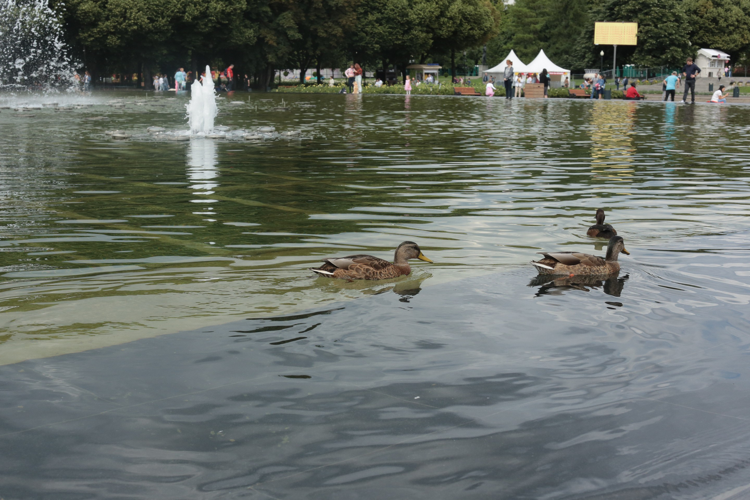 Фото Москвы. Студия Максима Белослюдцева