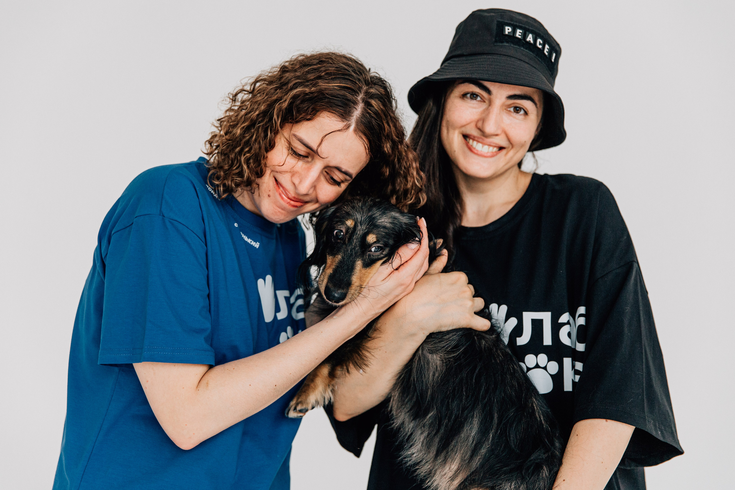 Лаборатория Канистерапии. Фотограф-анималист в Москве Соломонова Варвара