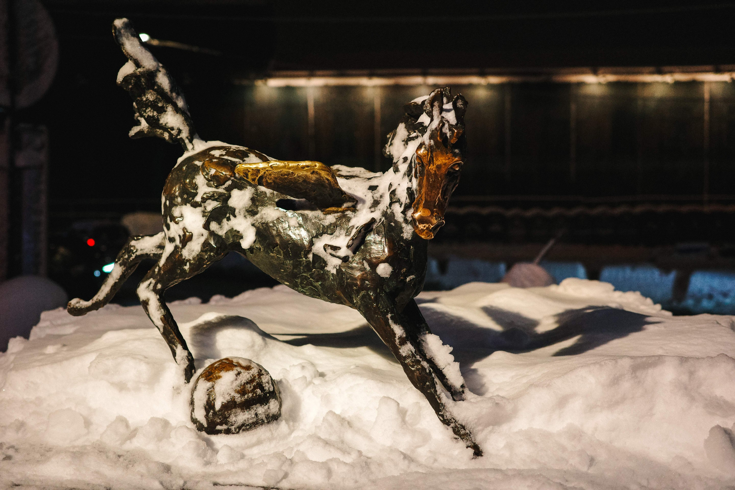 2024.12. Фотограф Алексей Алексеев