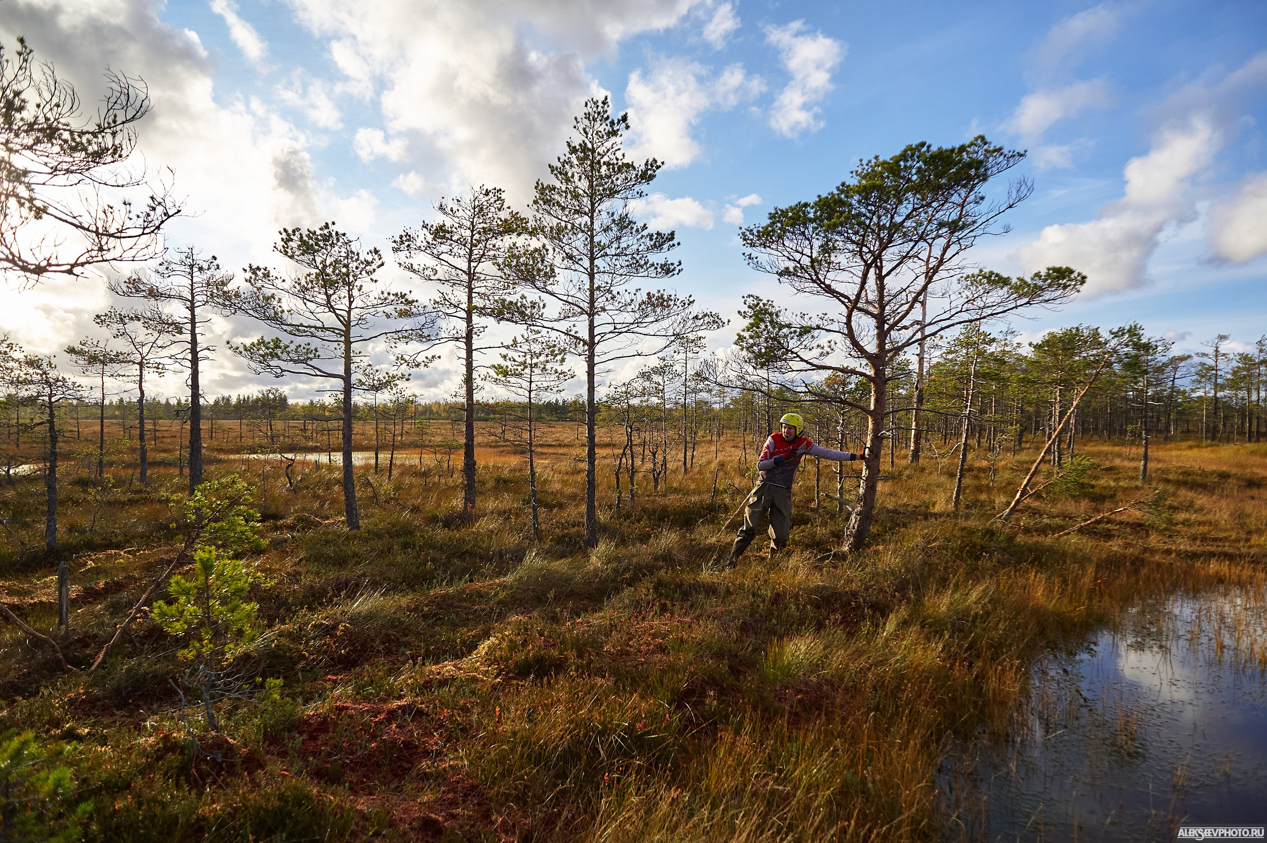 2020.10.10 — Финал Кубка ДОСААФ — спецучастки 1го дня. Фотограф Алексей Алексеев