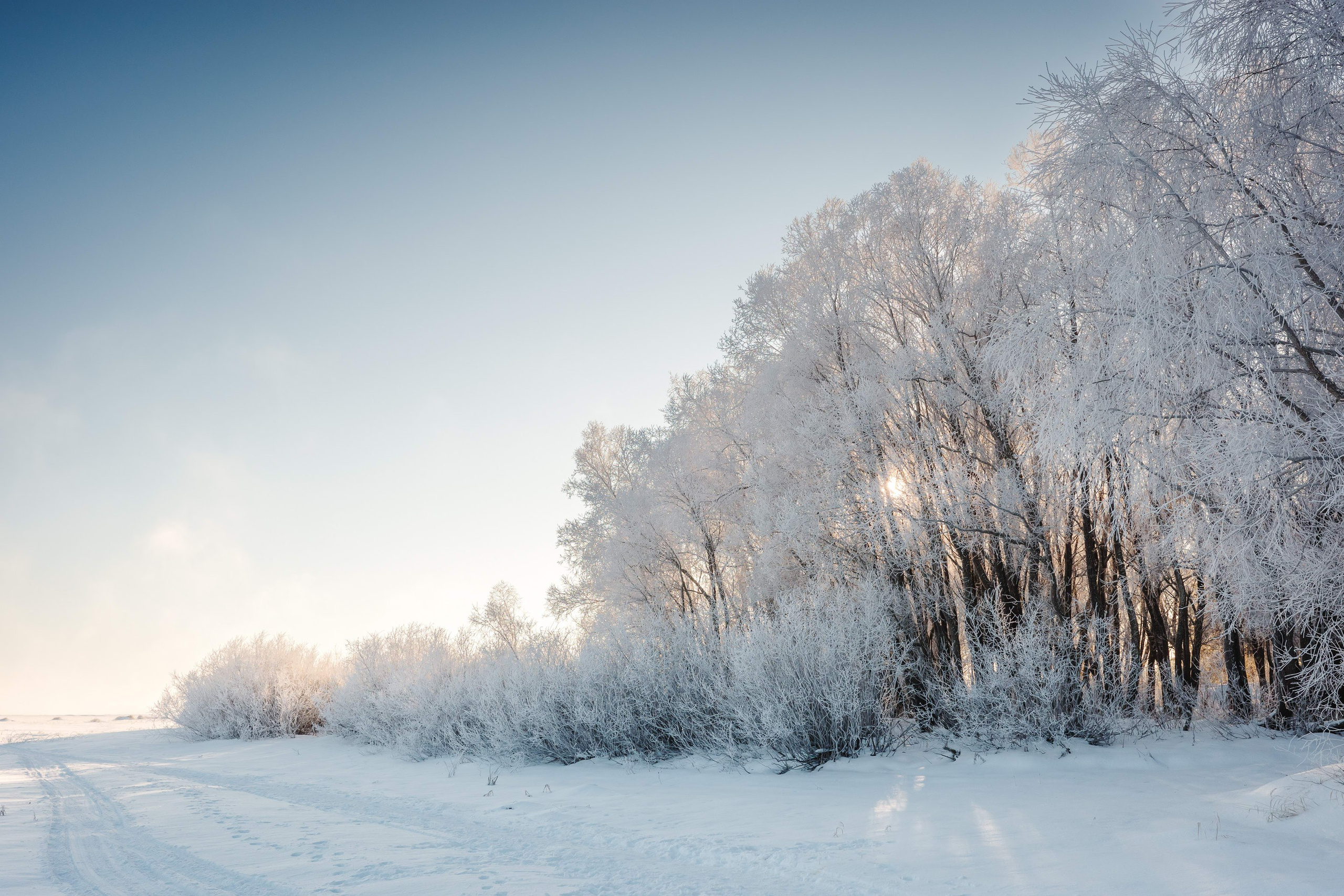 2024.01. Фотограф Алексей Алексеев