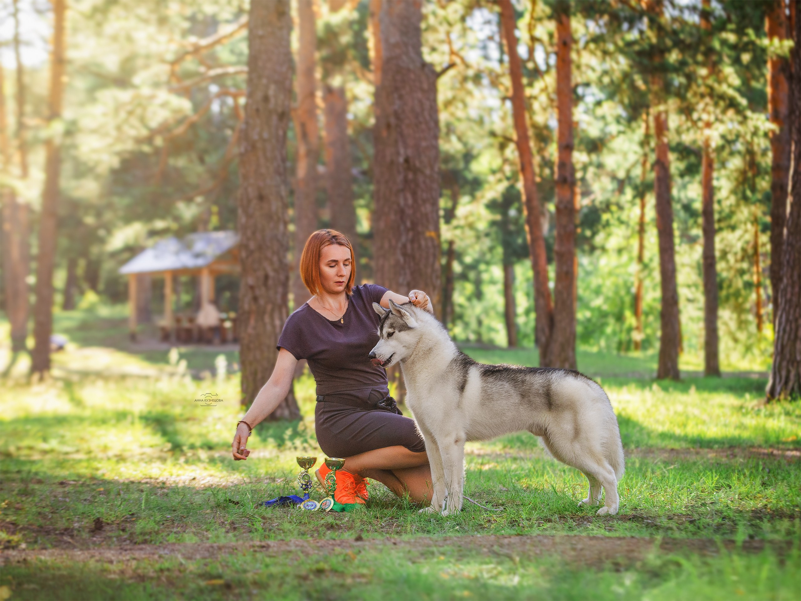 За рингом. Фотограф анималист Кузнецова Анна Нижний Новгород