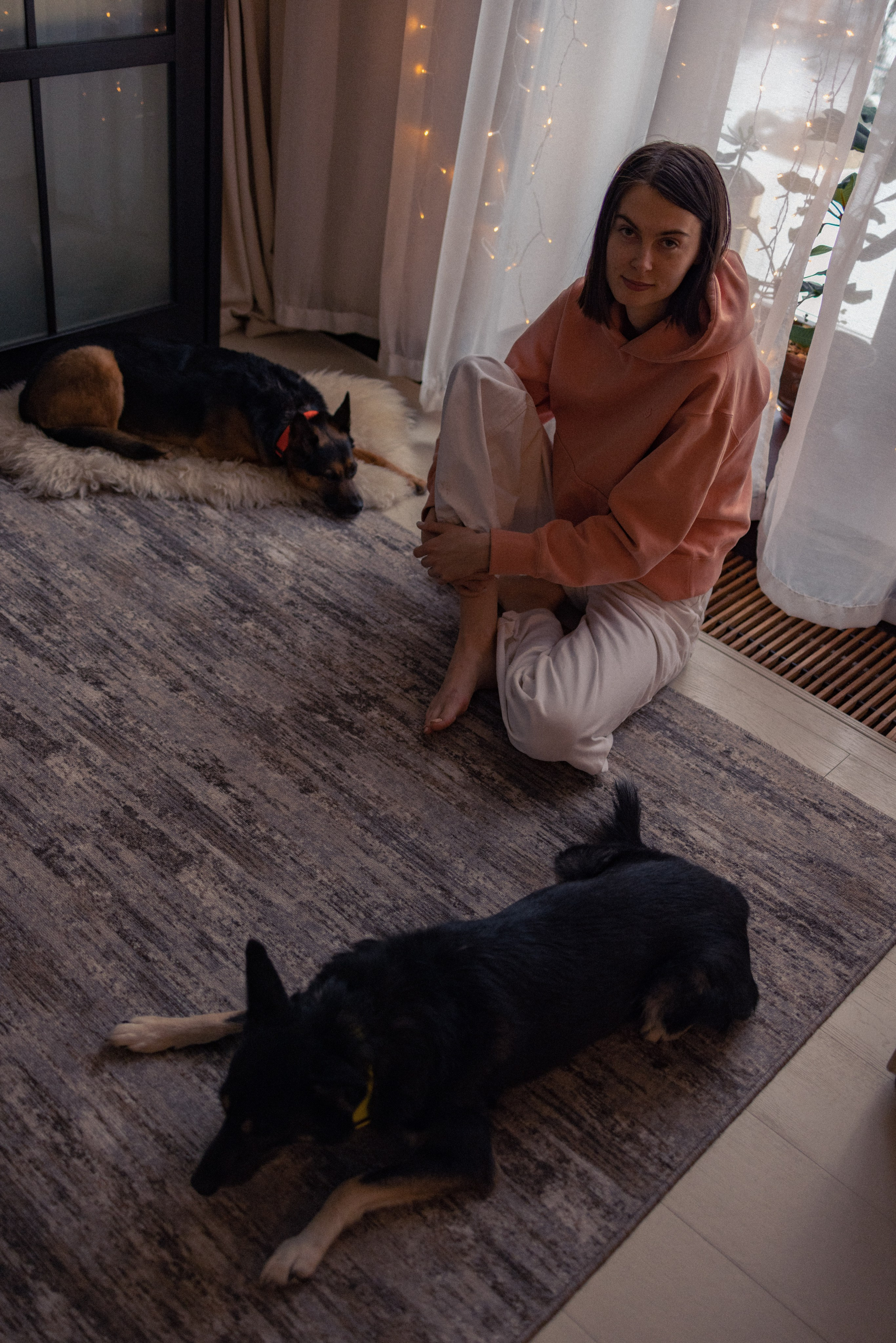 Ника, Матиша и Герда. Фотограф-анималист в Москве Лера Черноног