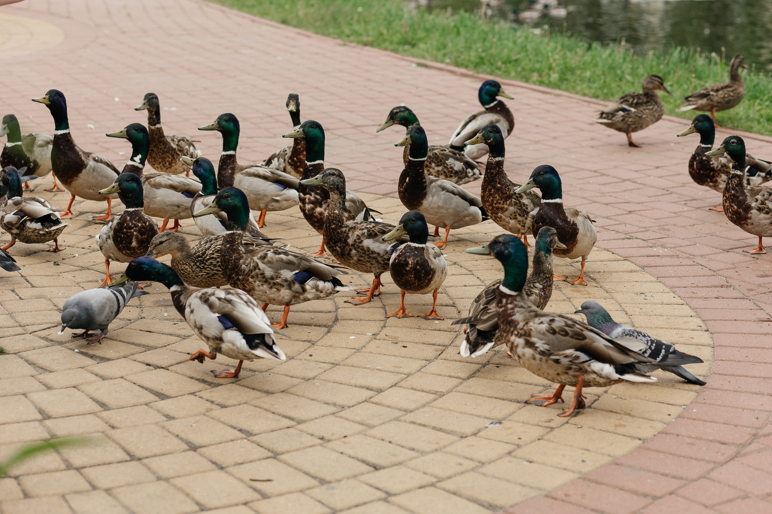 Саша и Настя. Фотограф Макс Ветошкин 📷