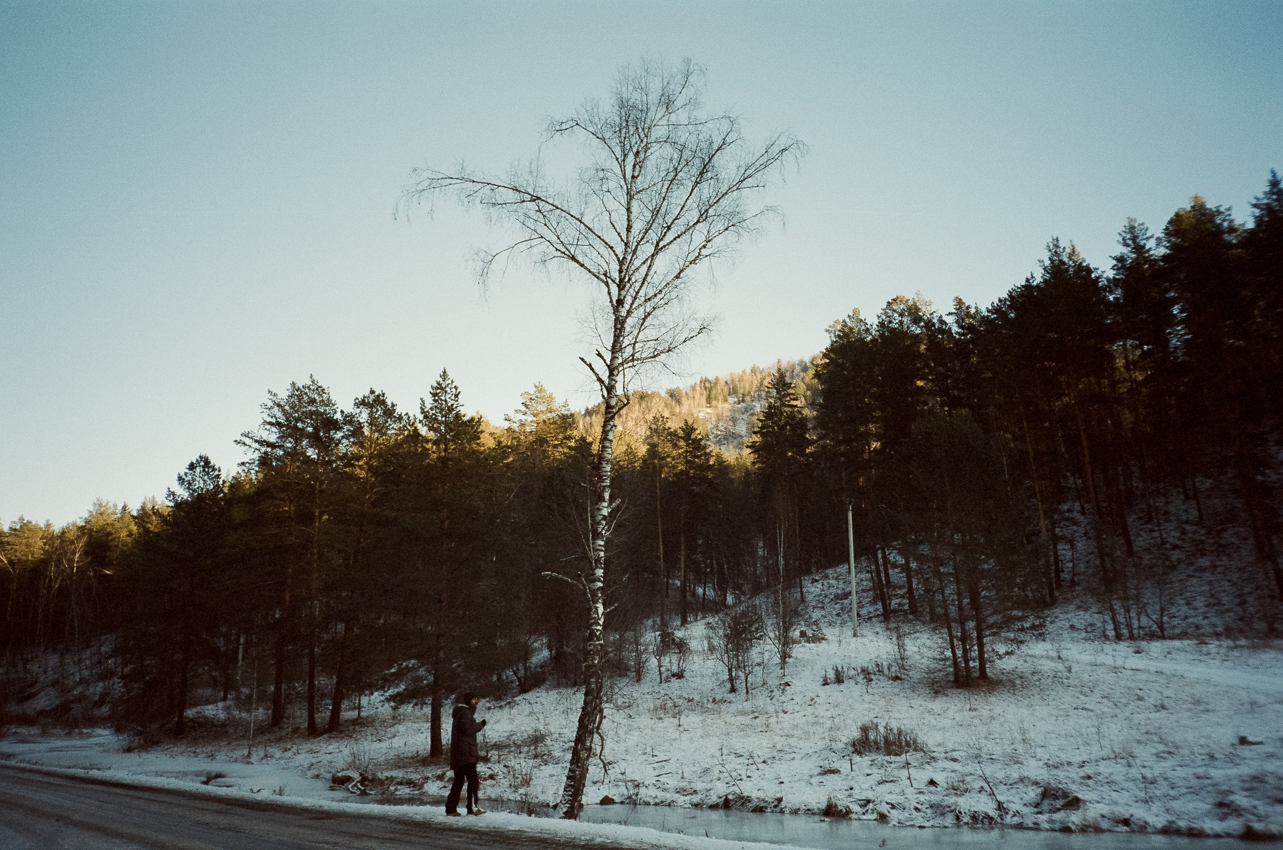 Дорога вдоль горной реки Куюм и локации Чемальского тракта. Фотограф-документалист Мария Осокина