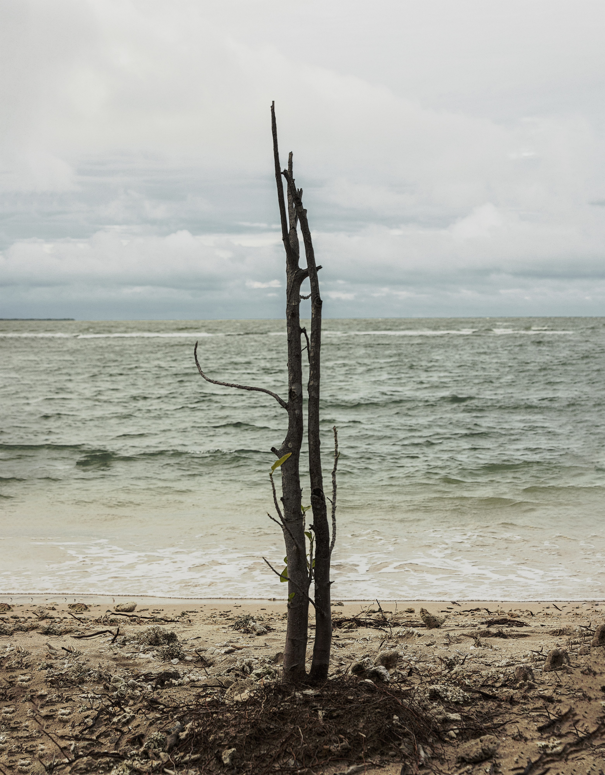 Amazing Ceylon. Art Рhotographer Russia/Moscow