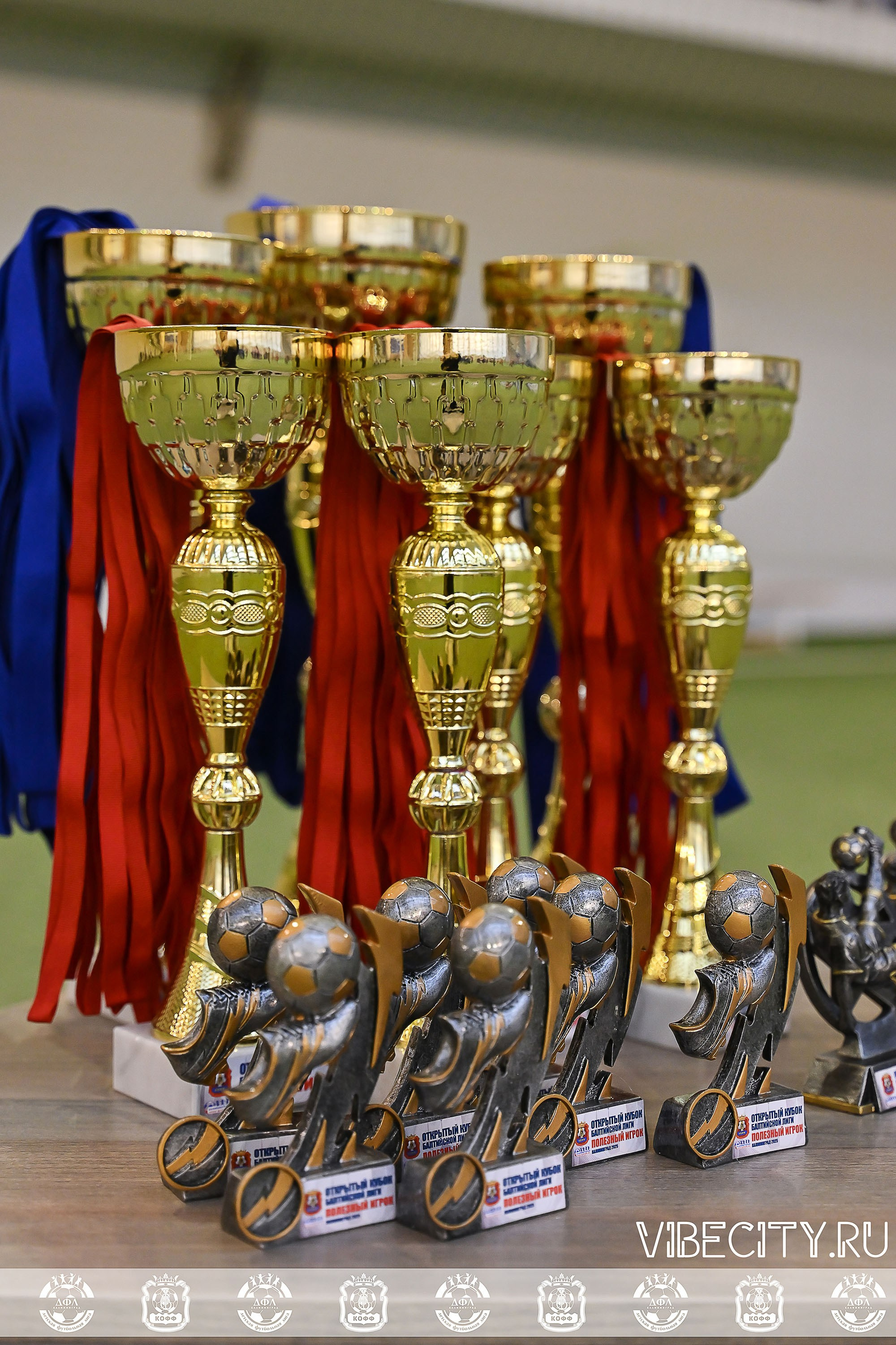 КУБОК БАЛТИЙСКОЙ ЛИГИ U6. VIBECITY.RU Вайб Сити Ру Фоторепортажи Фотоотчеты Калининград