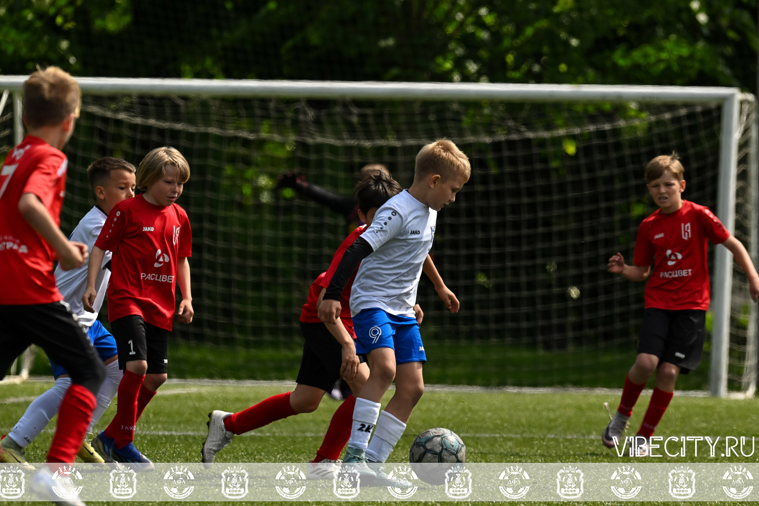 Большие Звезды светят Малым. VIBECITY.RU Вайб Сити Ру Фоторепортажи Фотоотчеты Калининград